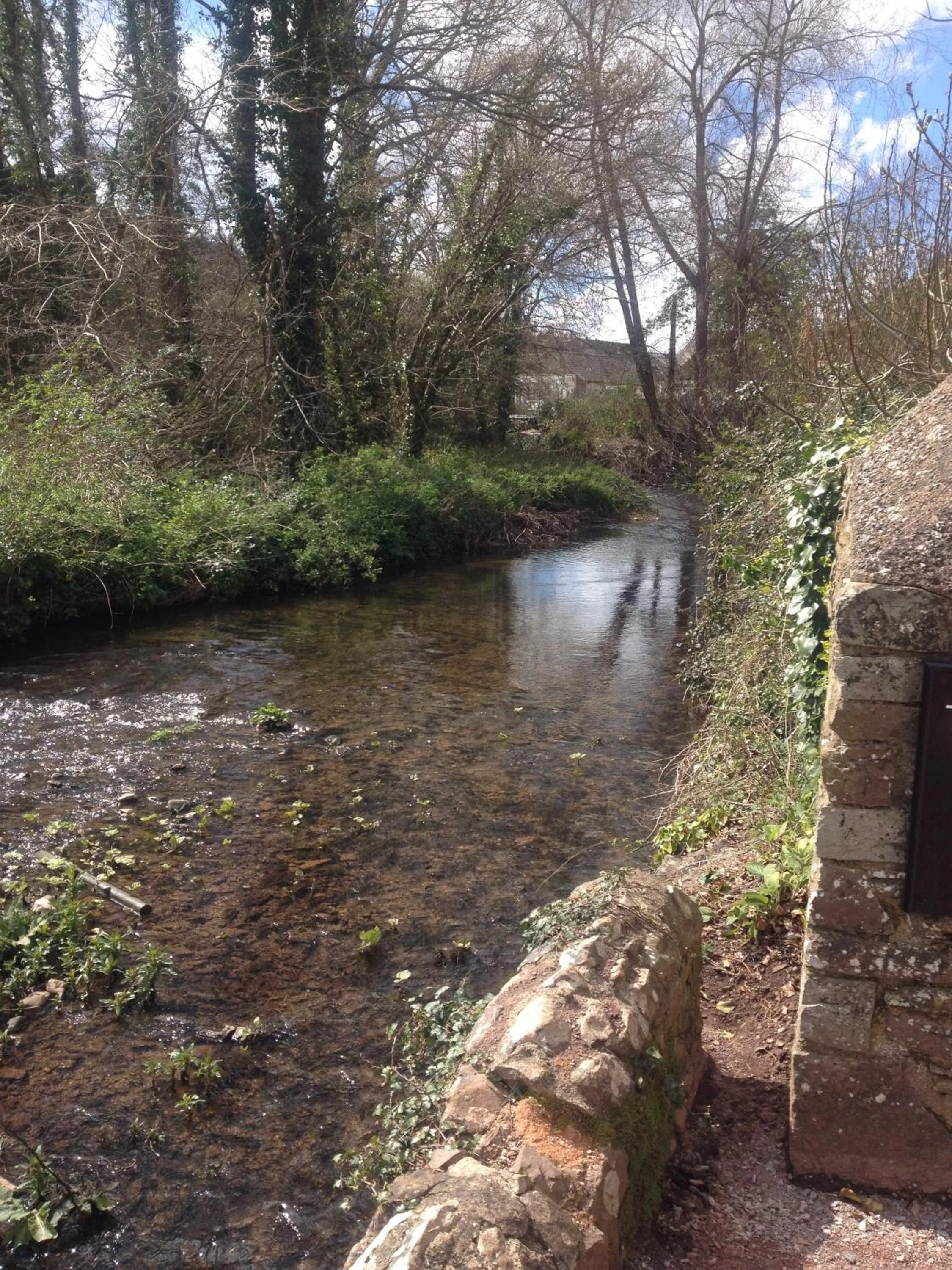 River view in Dunster Mill House