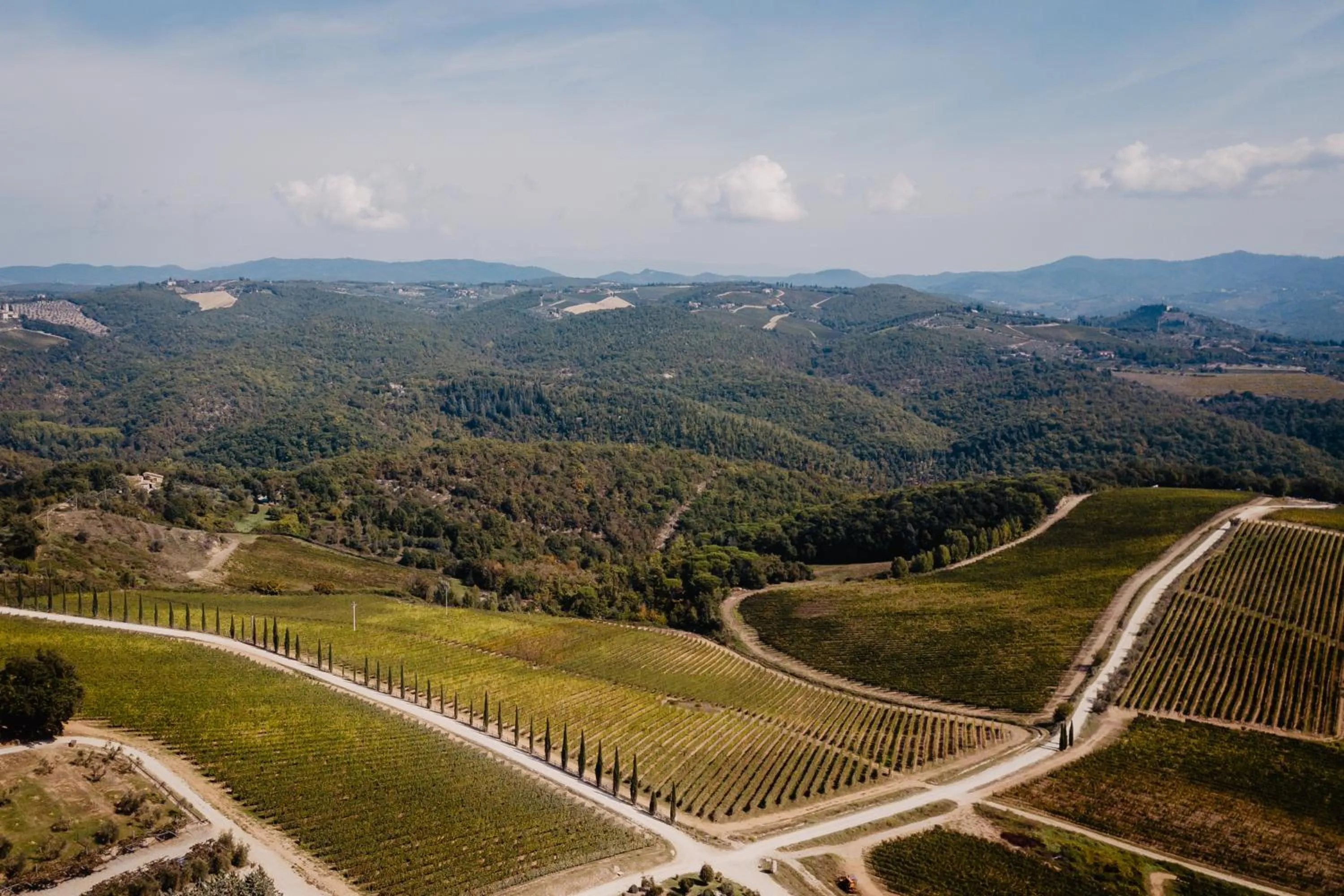 Natural landscape in Wine Resort Dievole