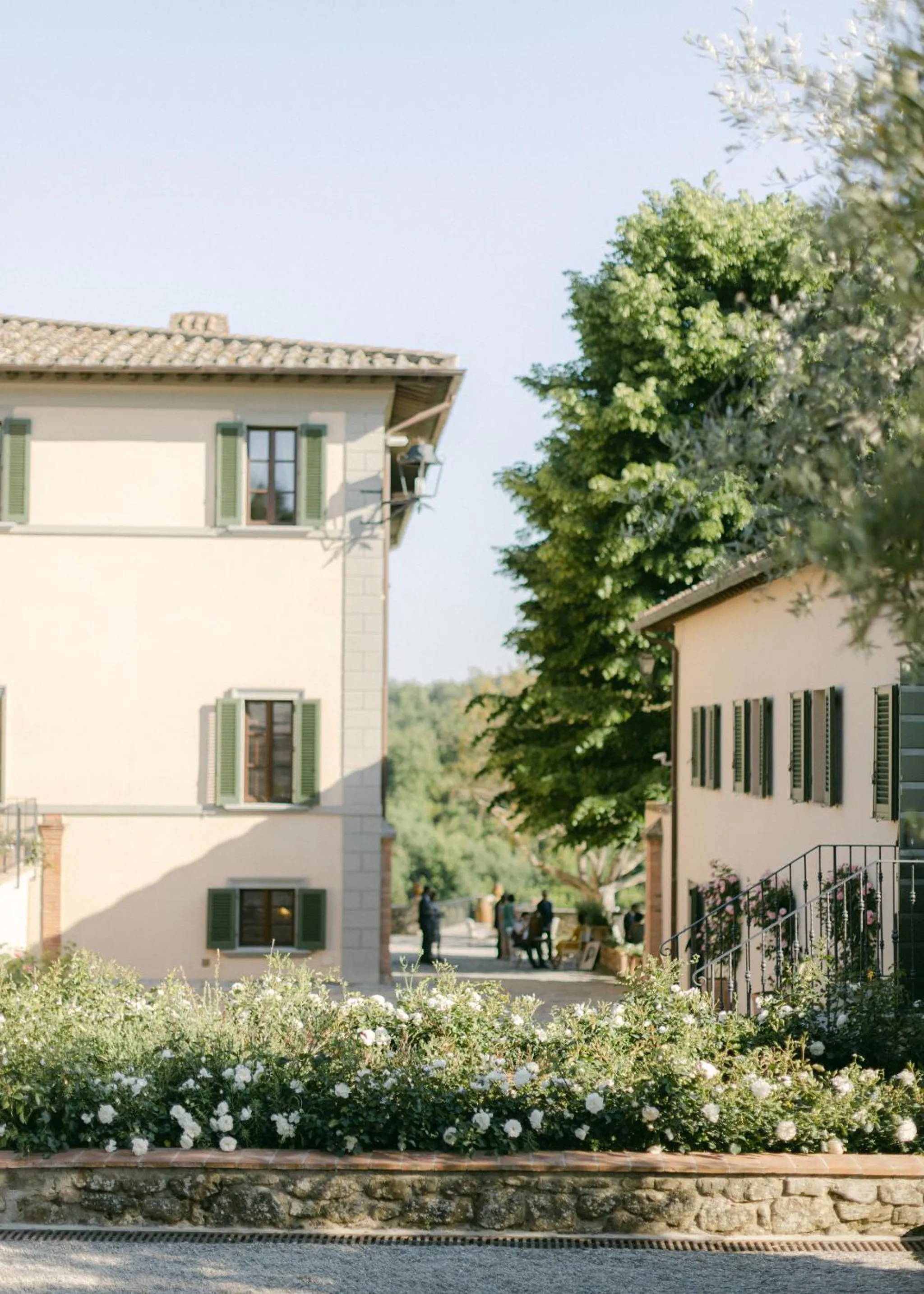 View (from property/room) in Wine Resort Dievole