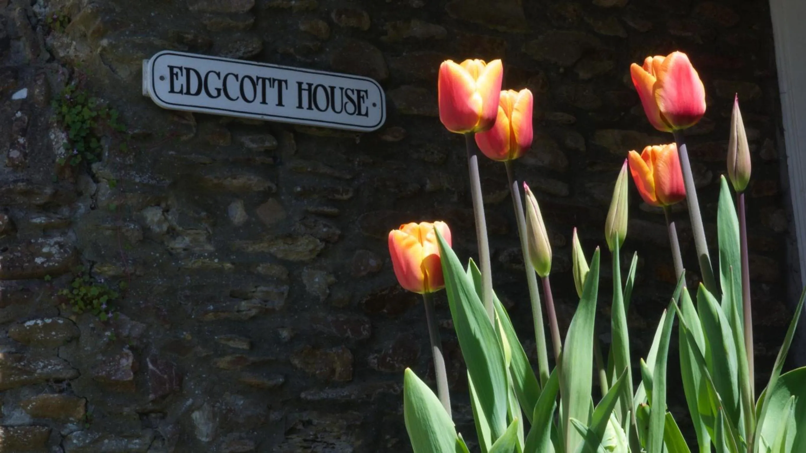Facade/entrance in Edgcott House
