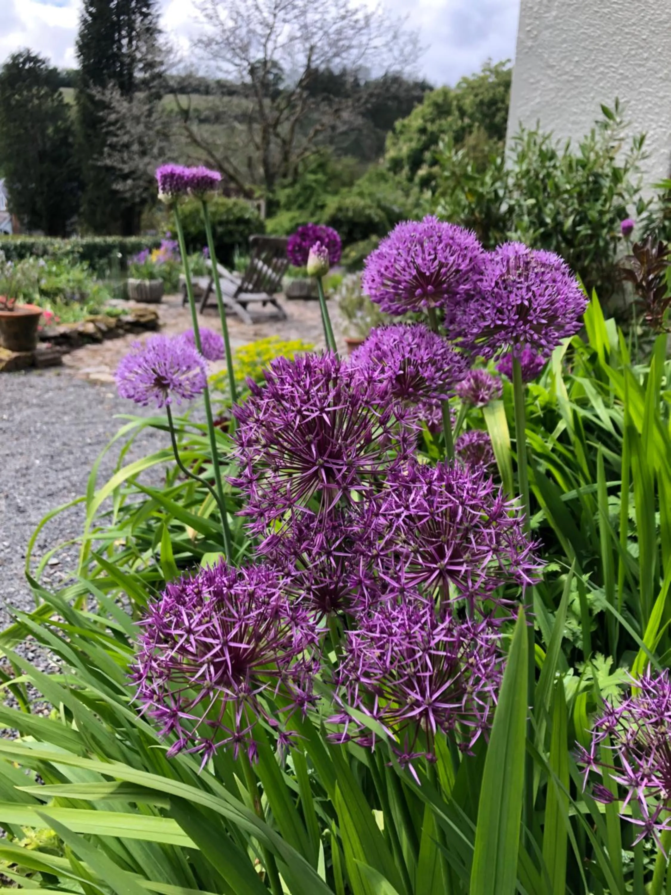 Property building in Edgcott House
