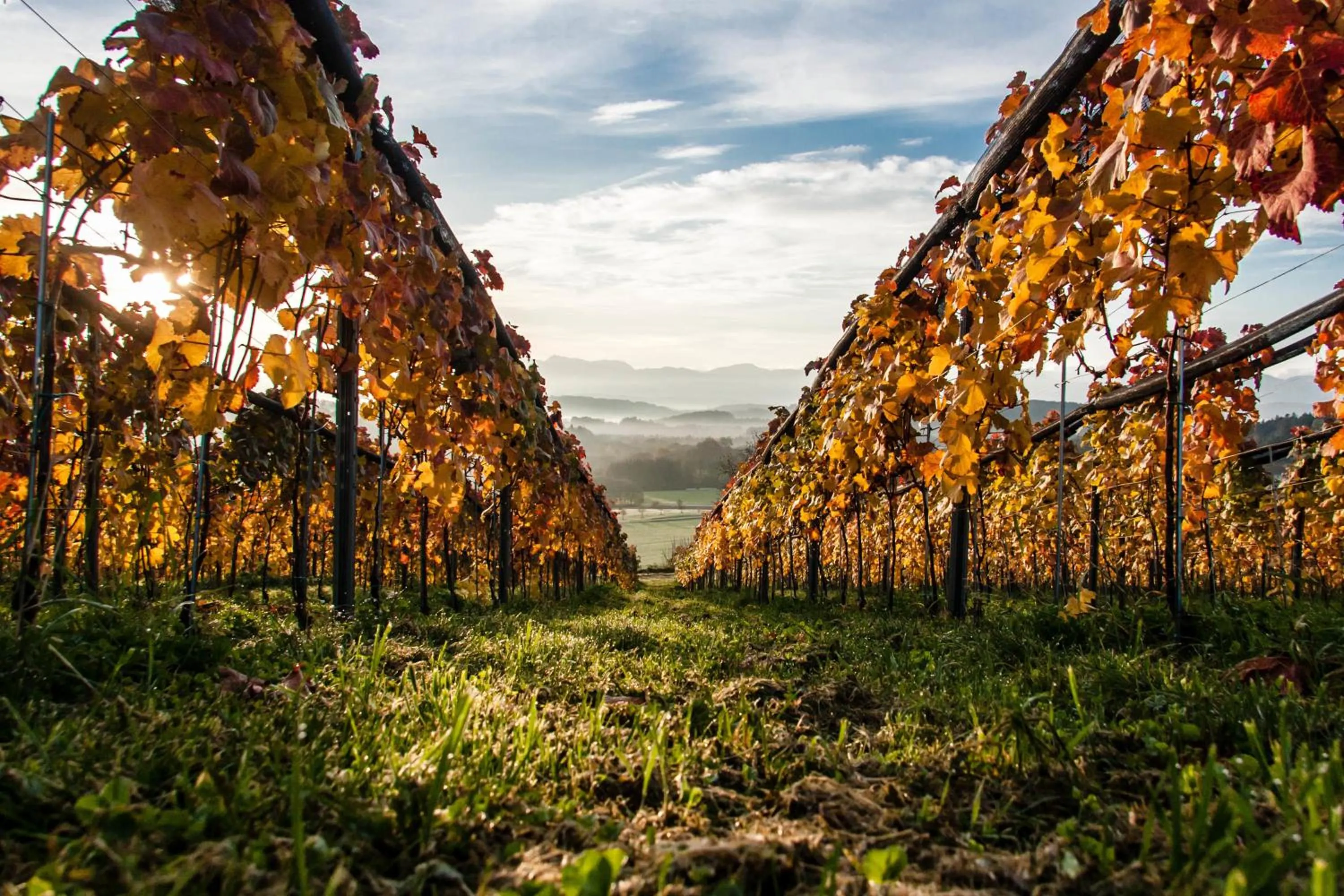 Other in TrippelGUT - SchlafGUT