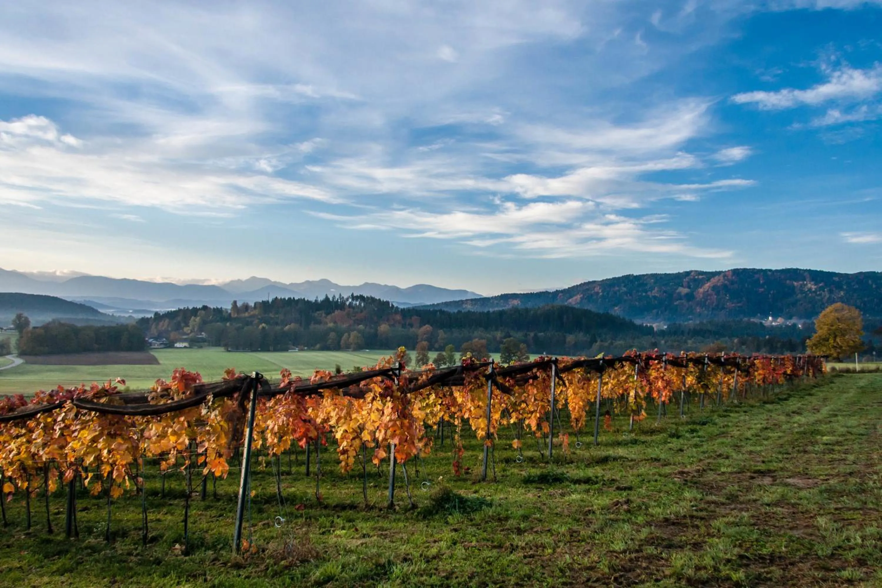 Day in TrippelGUT - SchlafGUT