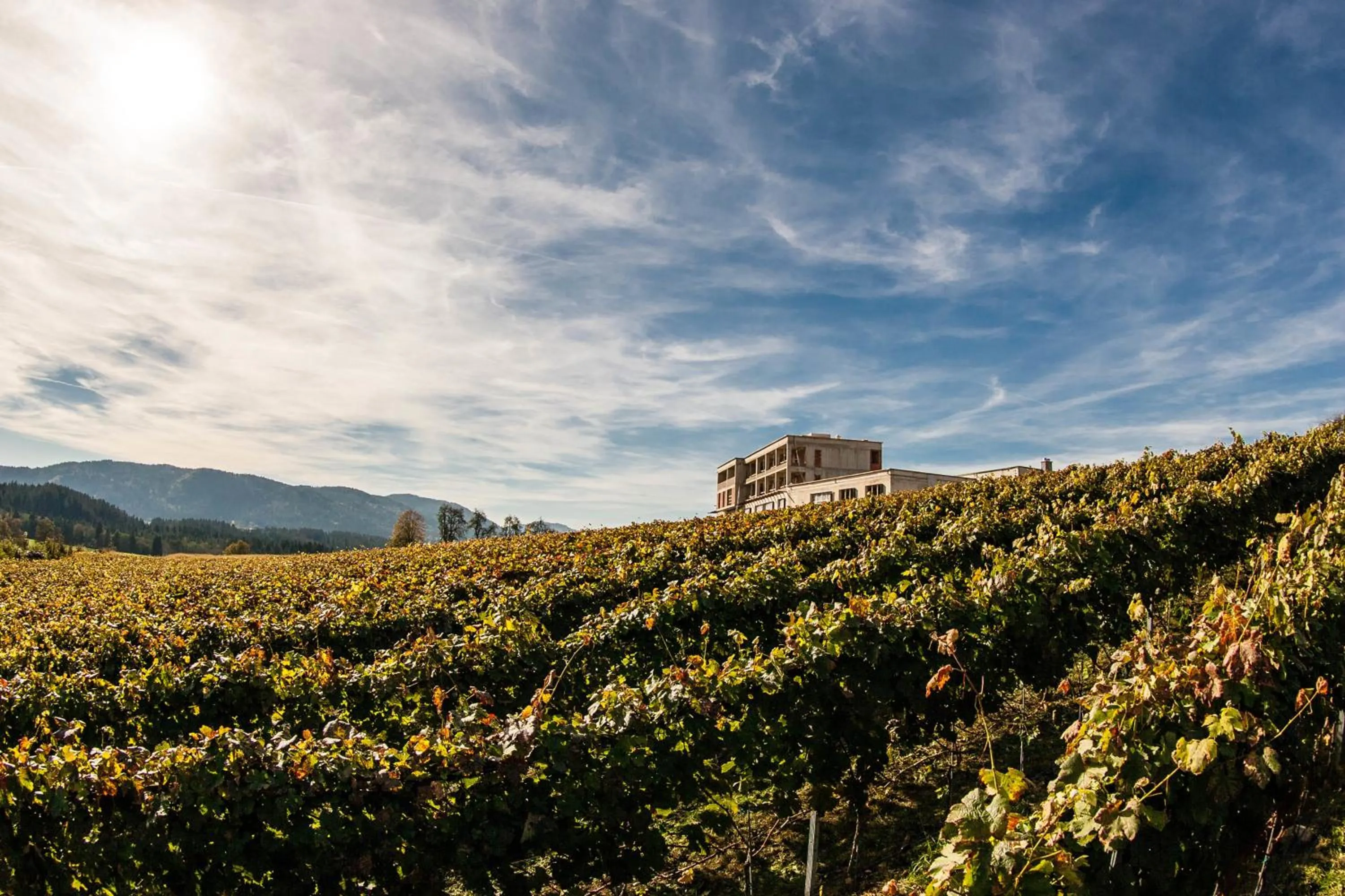 Property building in TrippelGUT - SchlafGUT