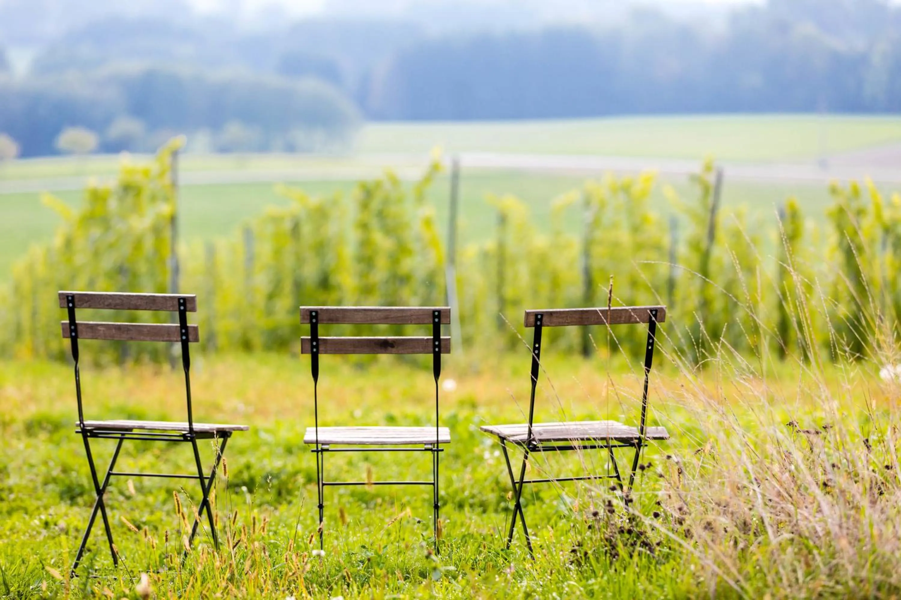 Day in TrippelGUT - SchlafGUT