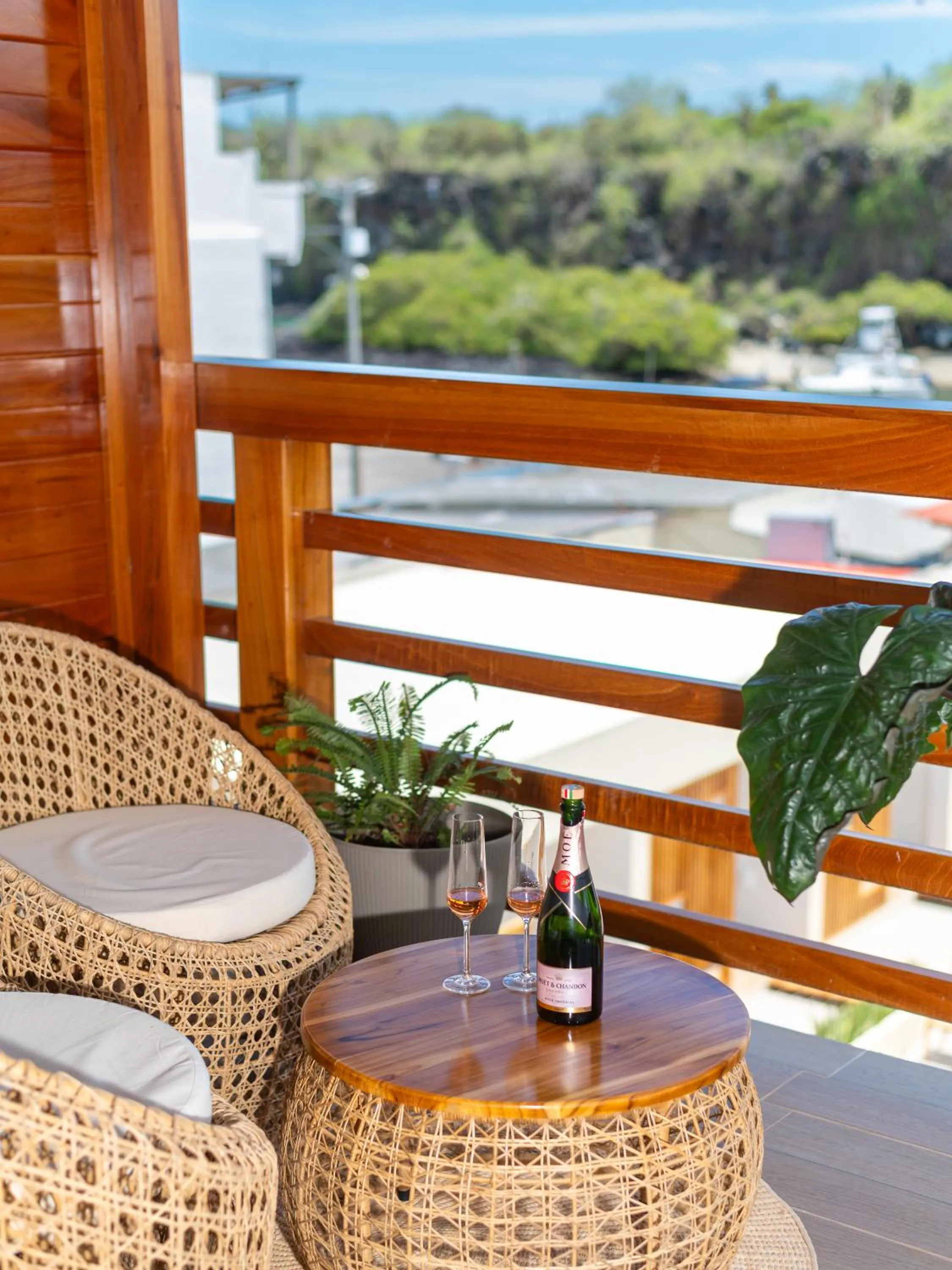 El Barranco Galapagos