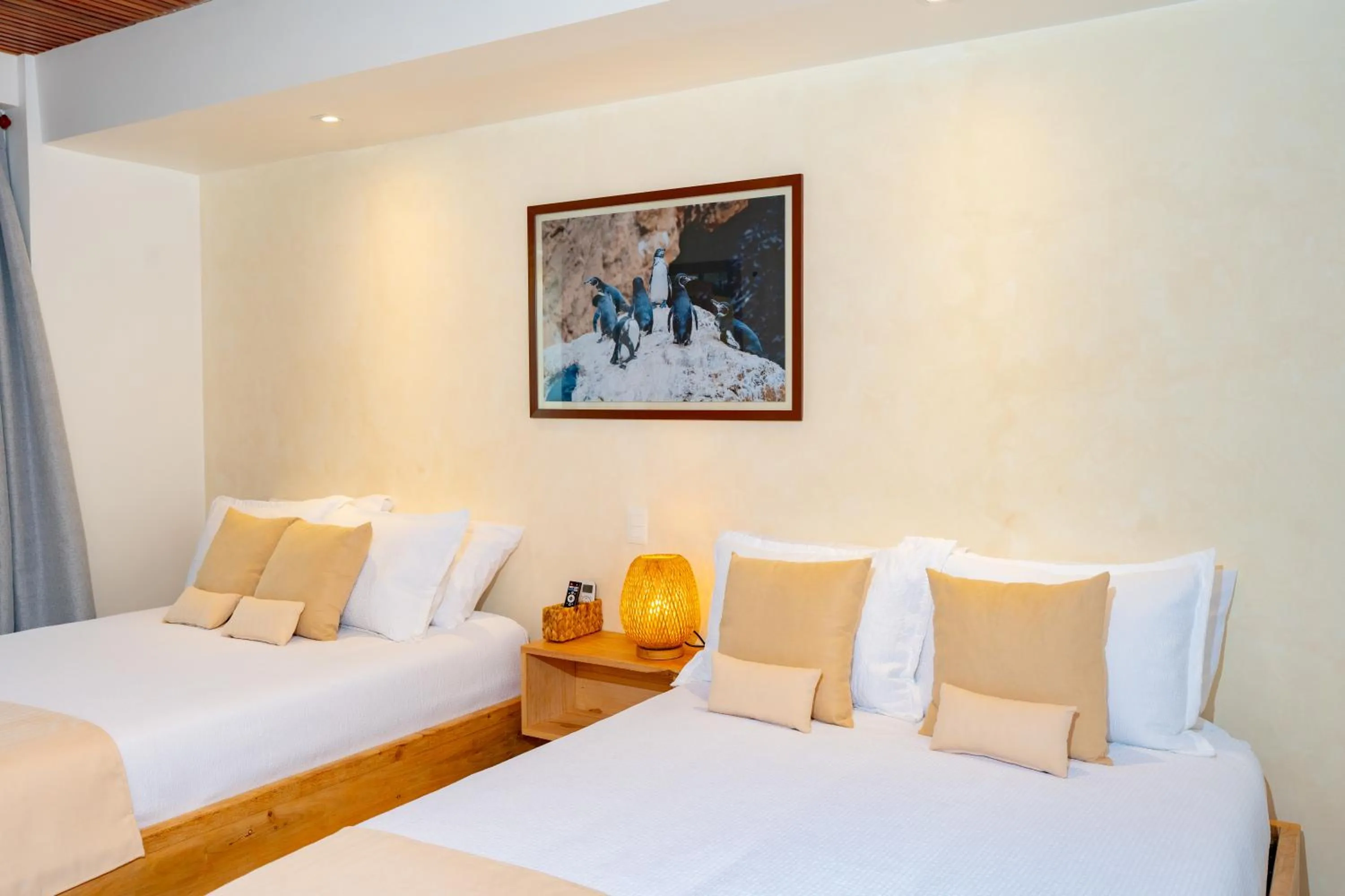 Bed in El Barranco Galapagos