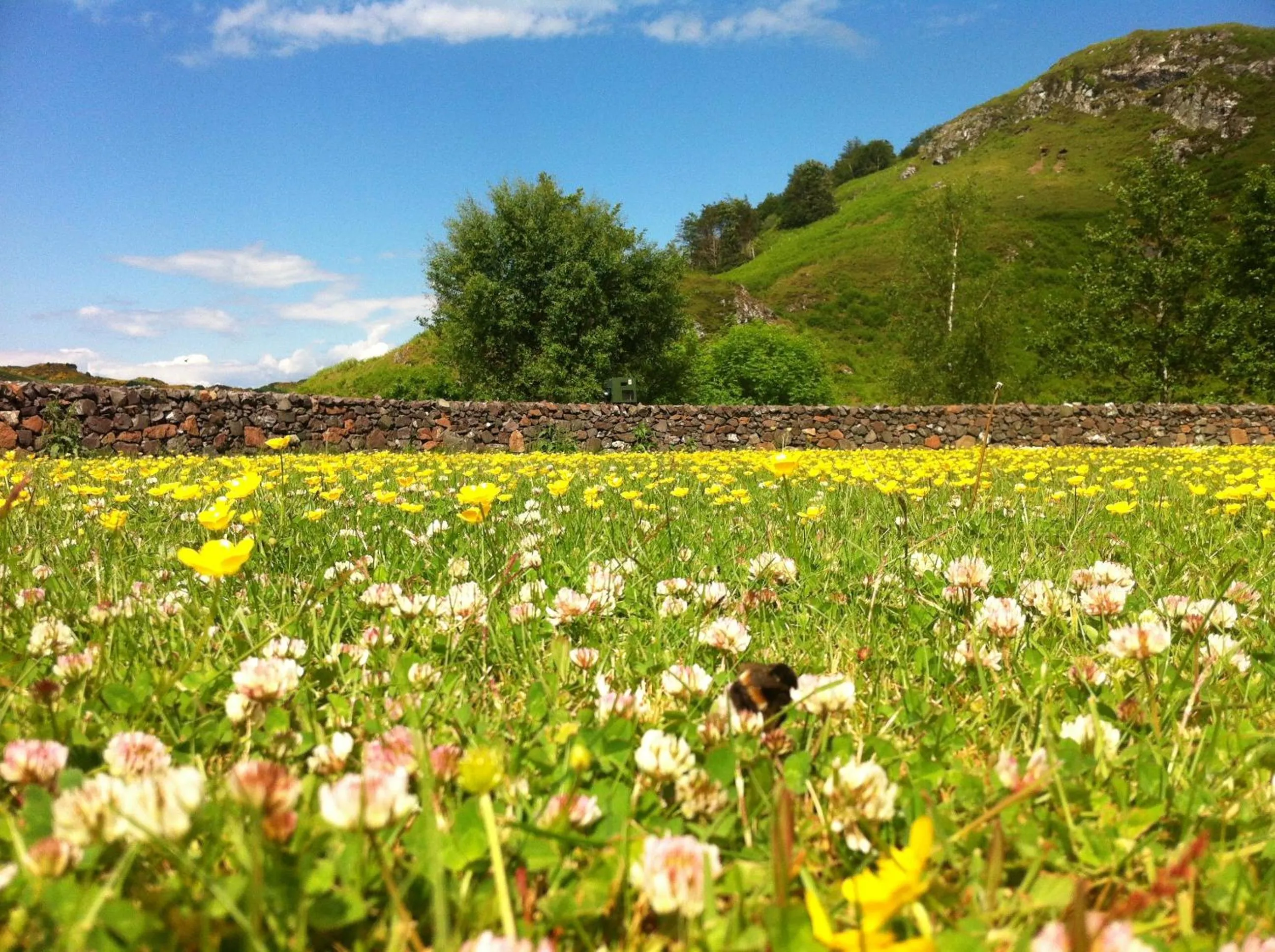 Spring in Clan Cottages Luxury Thatched Retreat near Oban