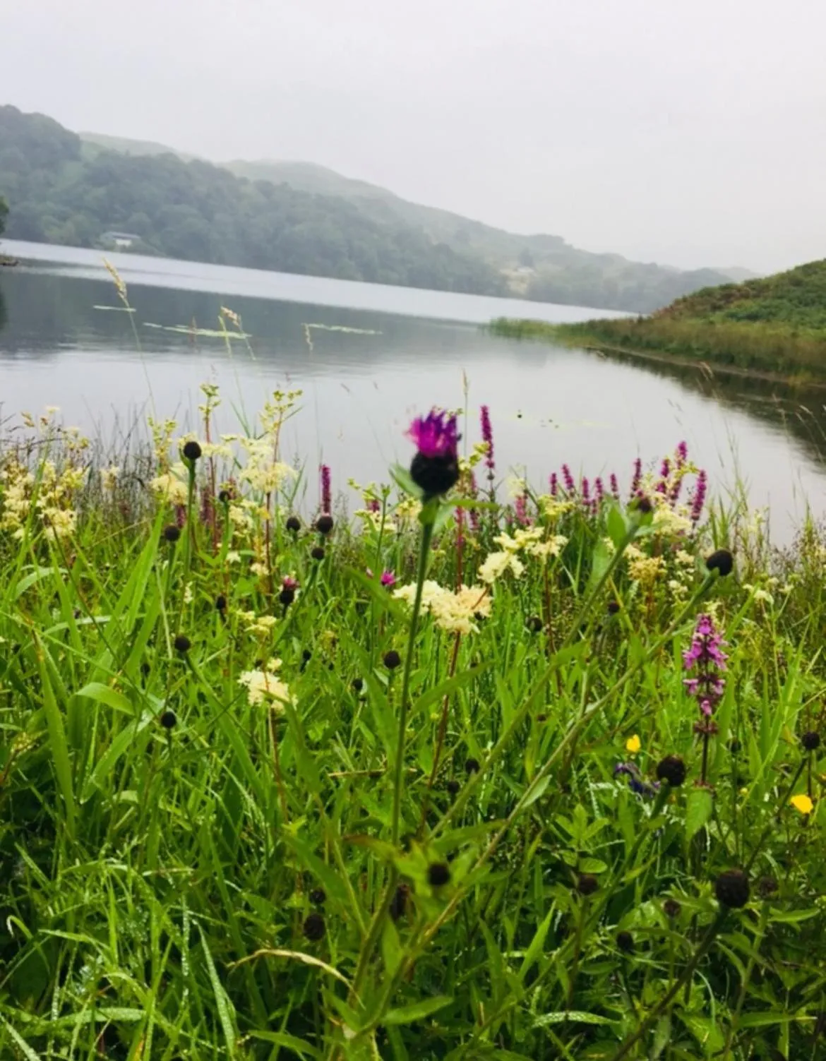 Clan Cottages Luxury Thatched Retreat near Oban