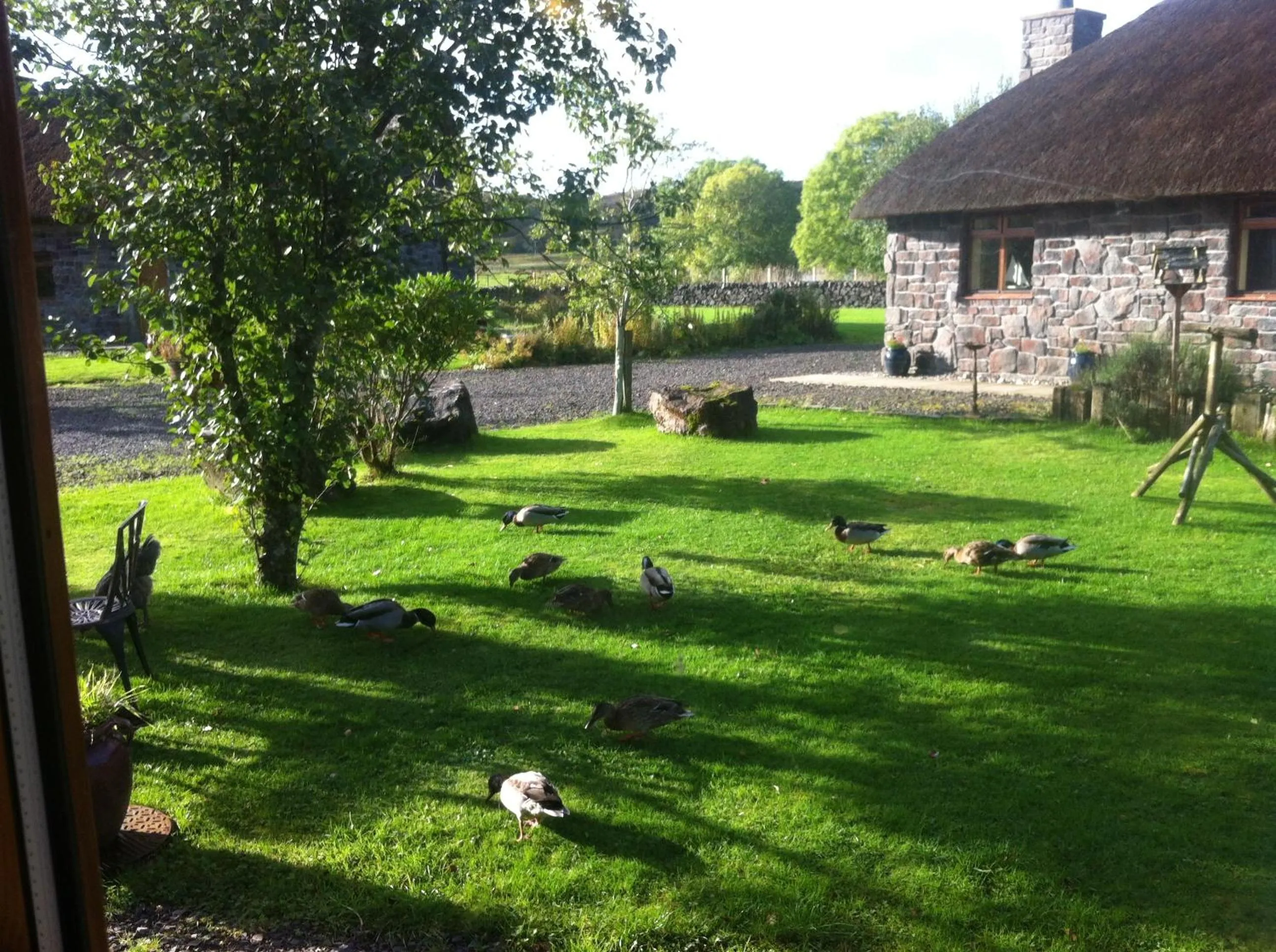 Day in Clan Cottages Luxury Thatched Retreat near Oban