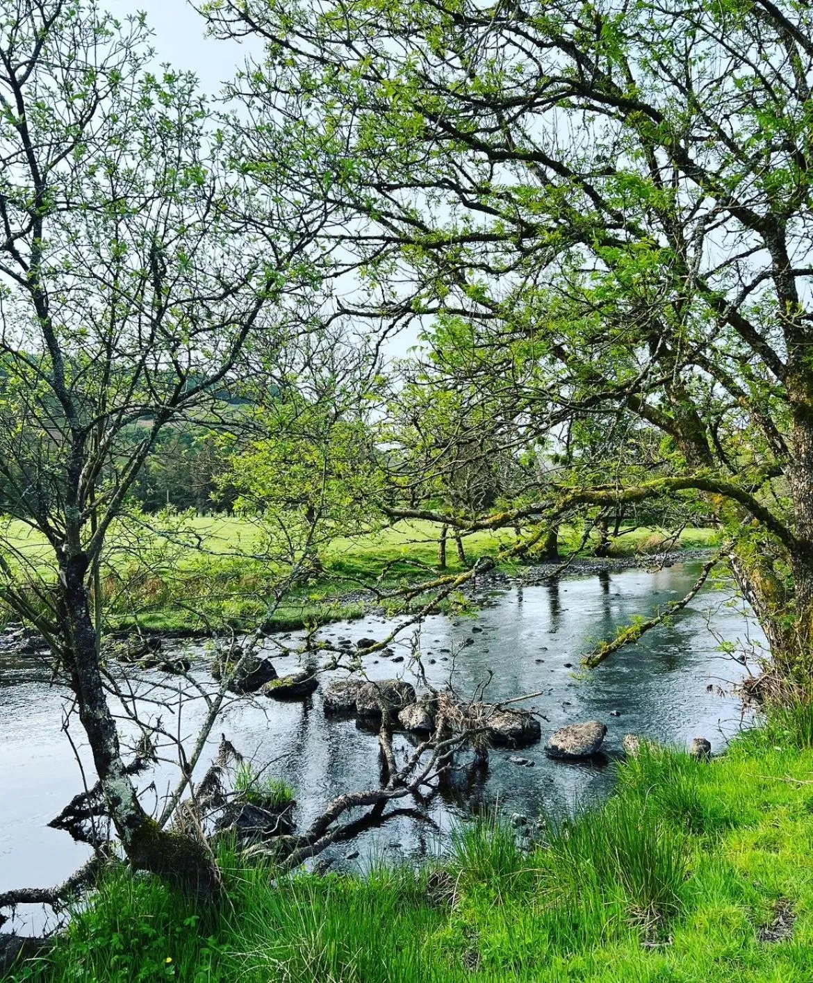 Clan Cottages Luxury Thatched Retreat near Oban