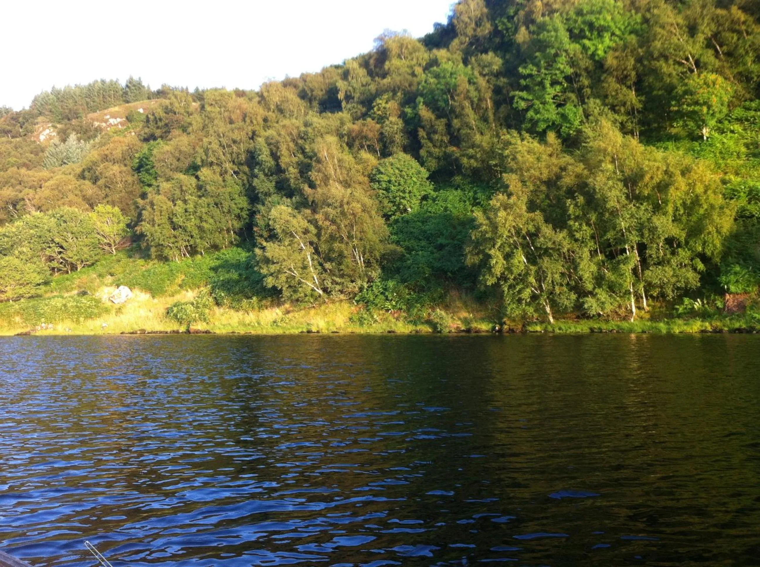 Natural landscape in Clan Cottages Luxury Thatched Retreat near Oban