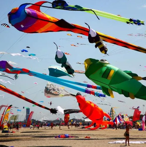 Activities in Club del Sole Adriatico Cervia Easy Camping Village