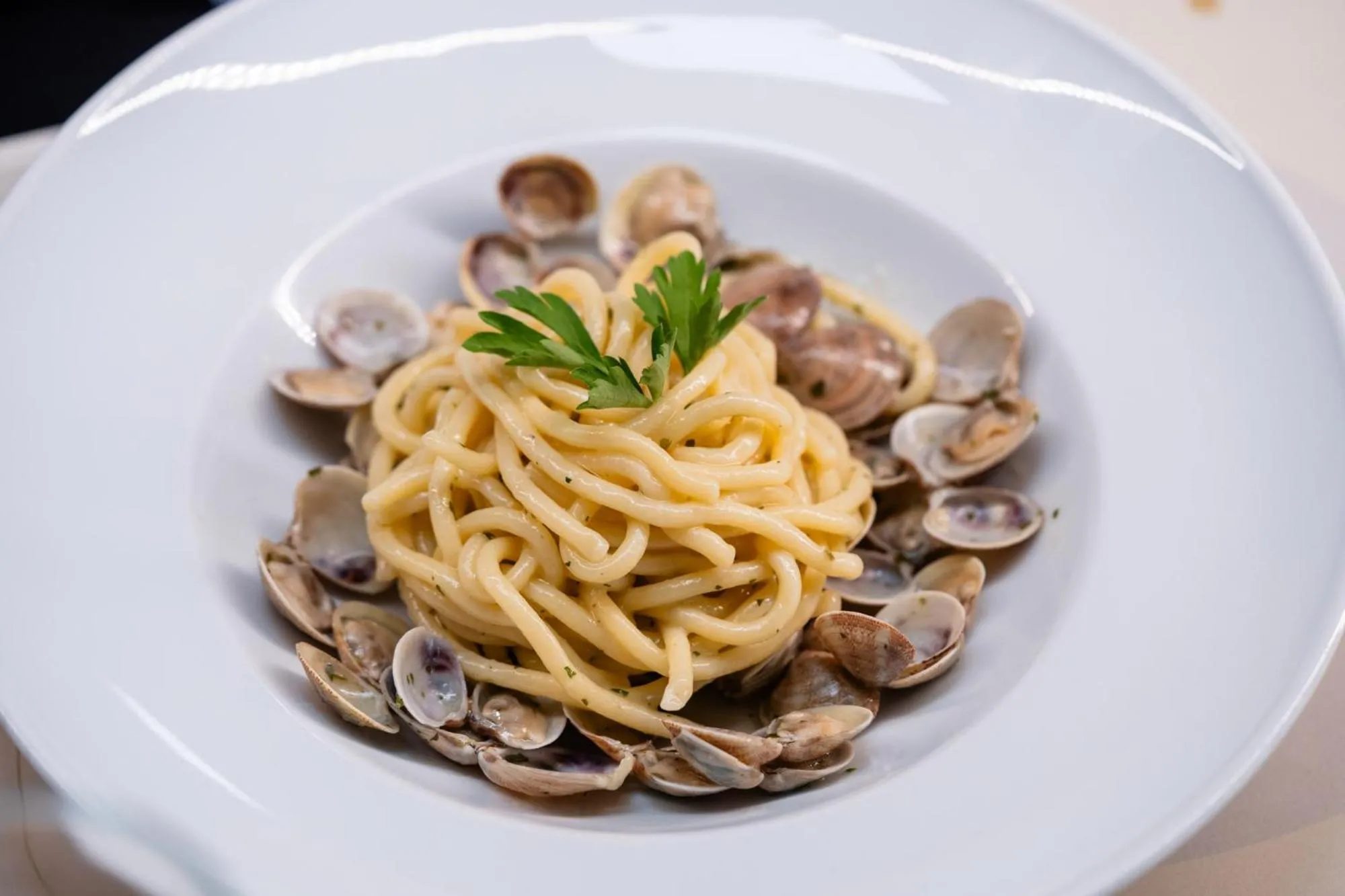 Restaurant/places to eat in Club del Sole Adriatico Cervia Easy Camping Village