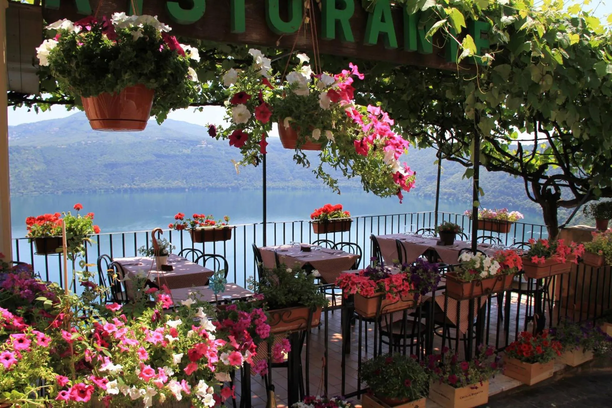 Restaurant/places to eat in Hotel Castel Gandolfo