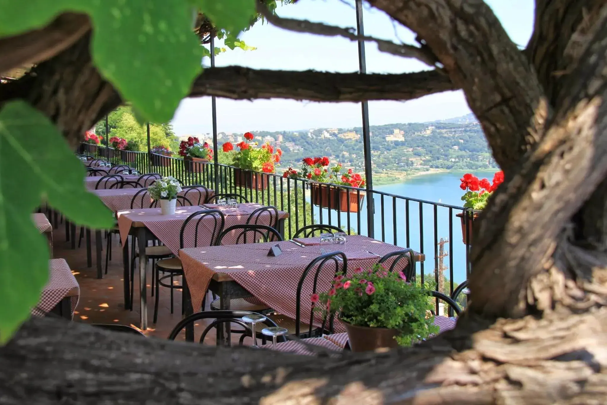 Restaurant/places to eat in Hotel Castel Gandolfo Restaurant/places to eat in Hotel Castel Gandolfo