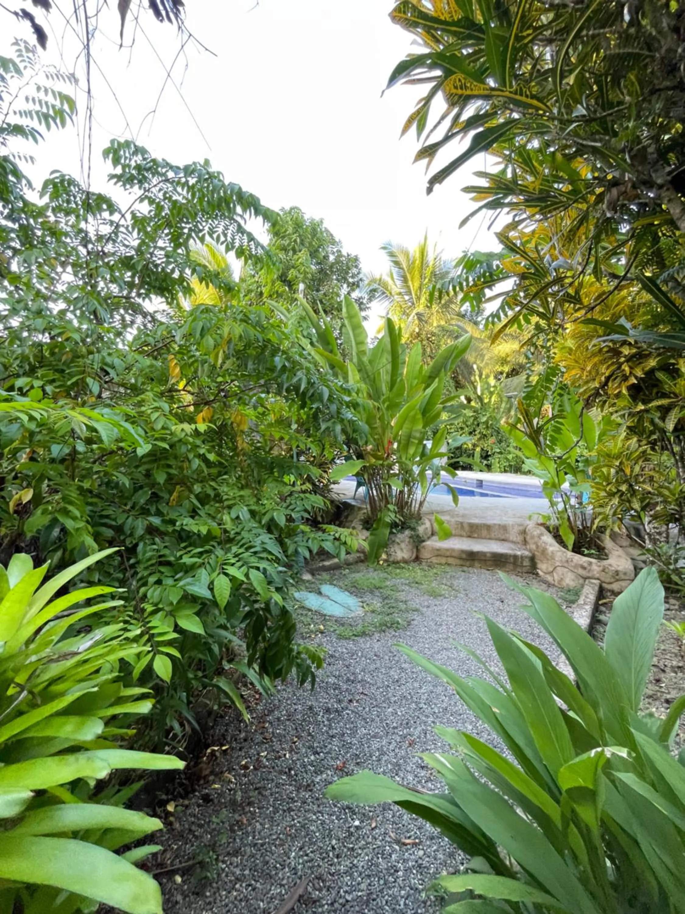 Garden in Pangea Lodge Tropical Vibe Home with Shared Pool