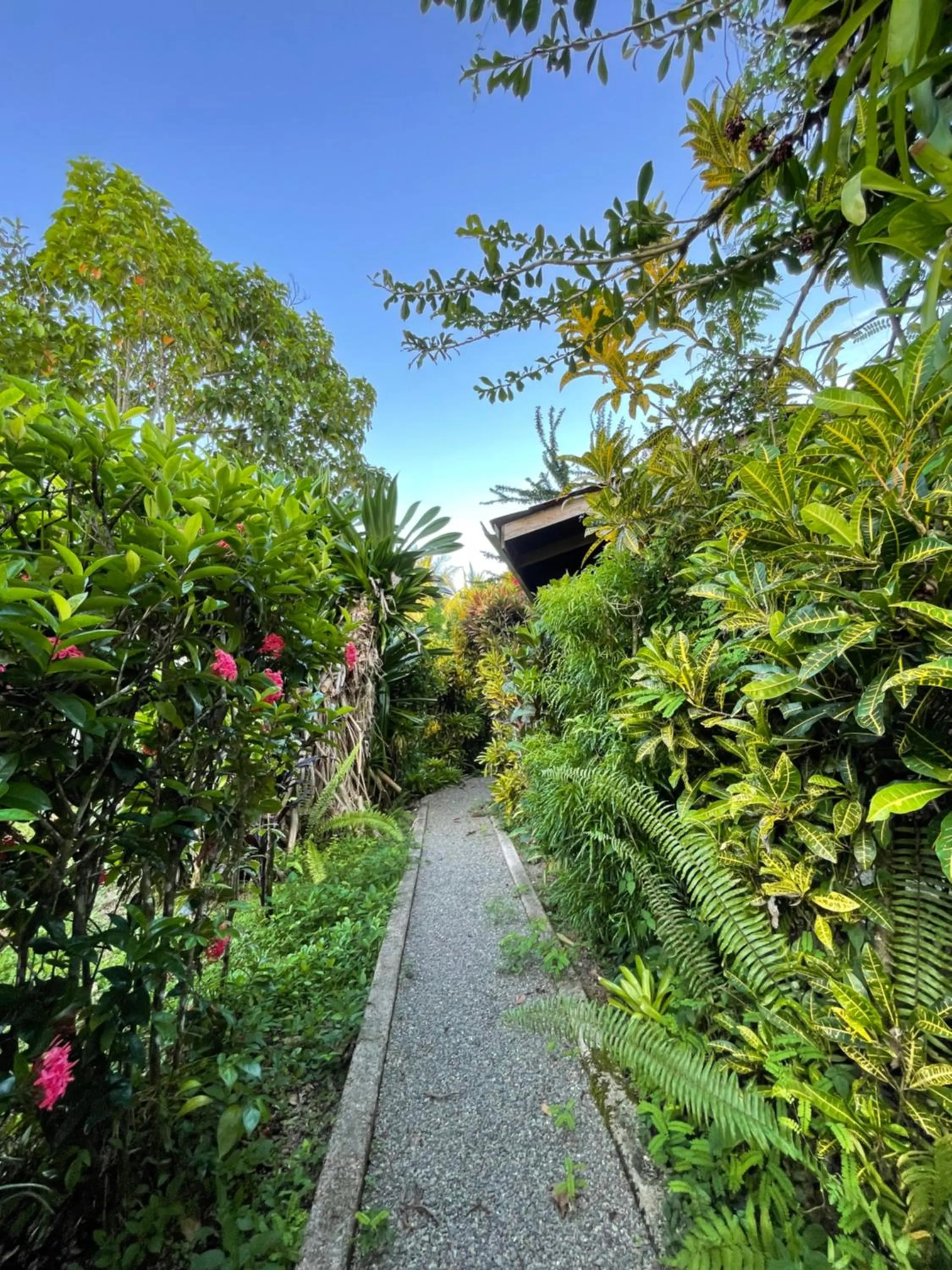 Garden in Pangea Lodge Tropical Vibe Home with Shared Pool