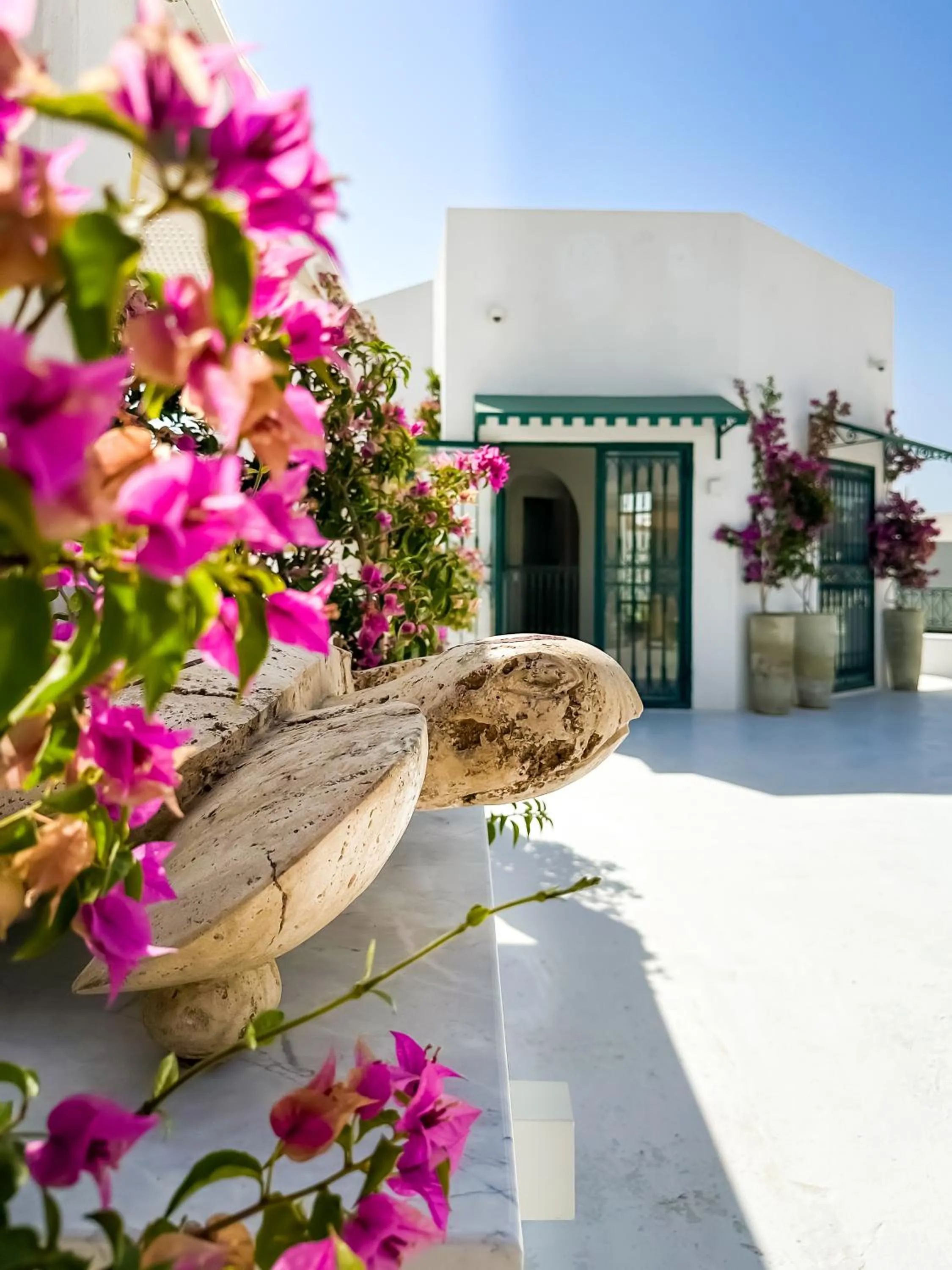 Patio in Dar Ben Turkia