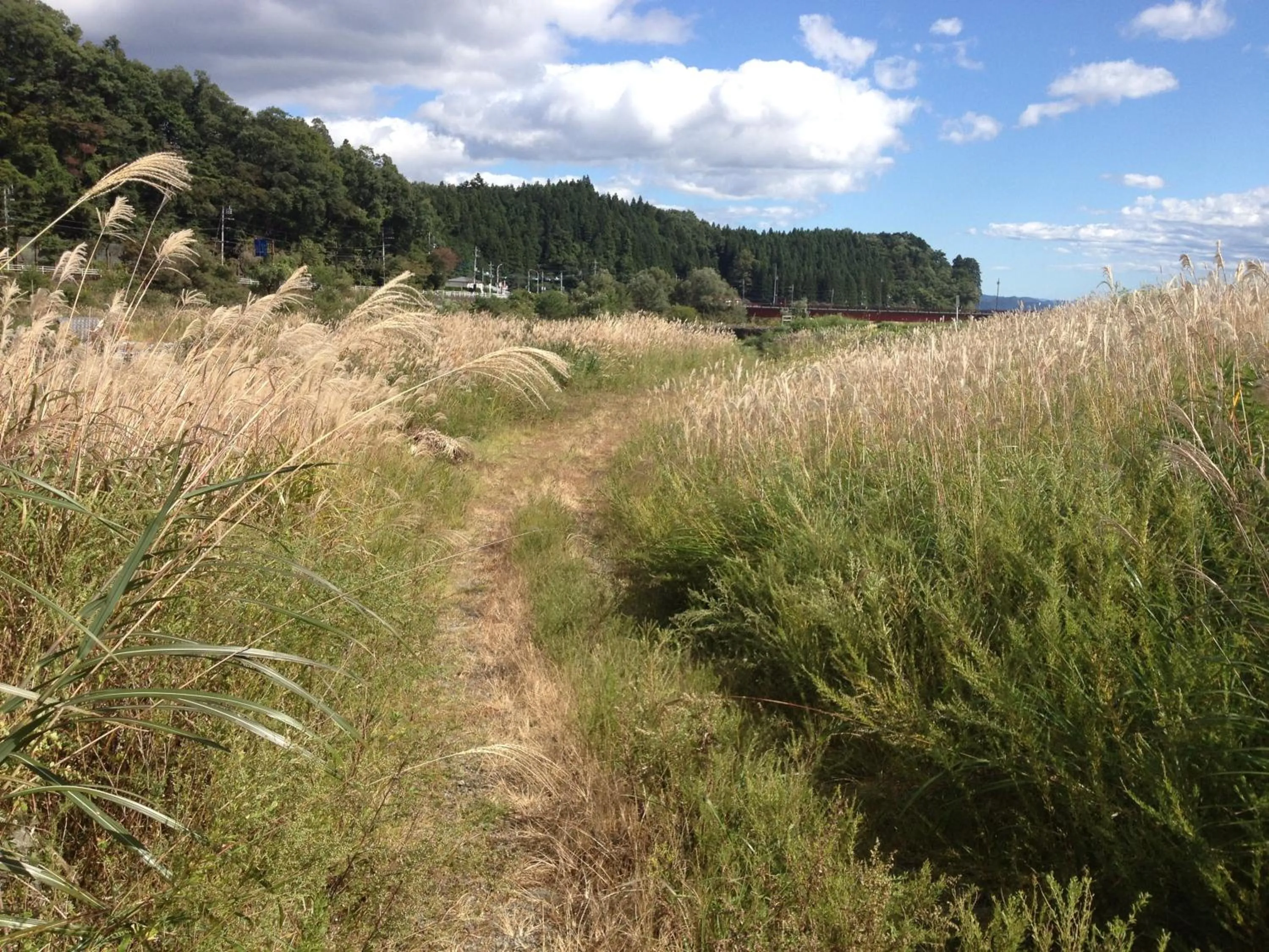 Natural landscape in Stay Nikko Guesthouse