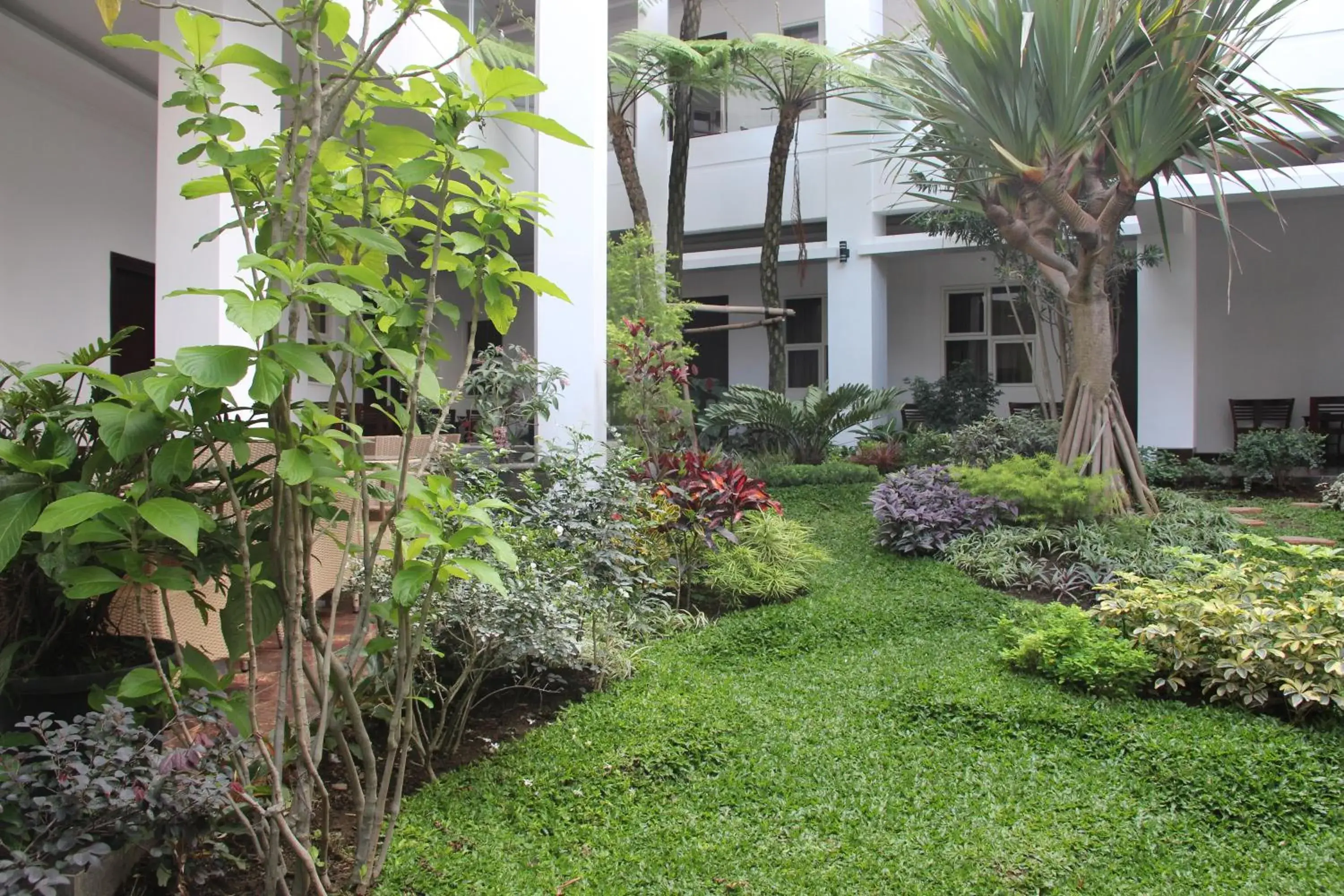 Garden view in Tlogomas Guest House Garden view in Tlogomas Guest House