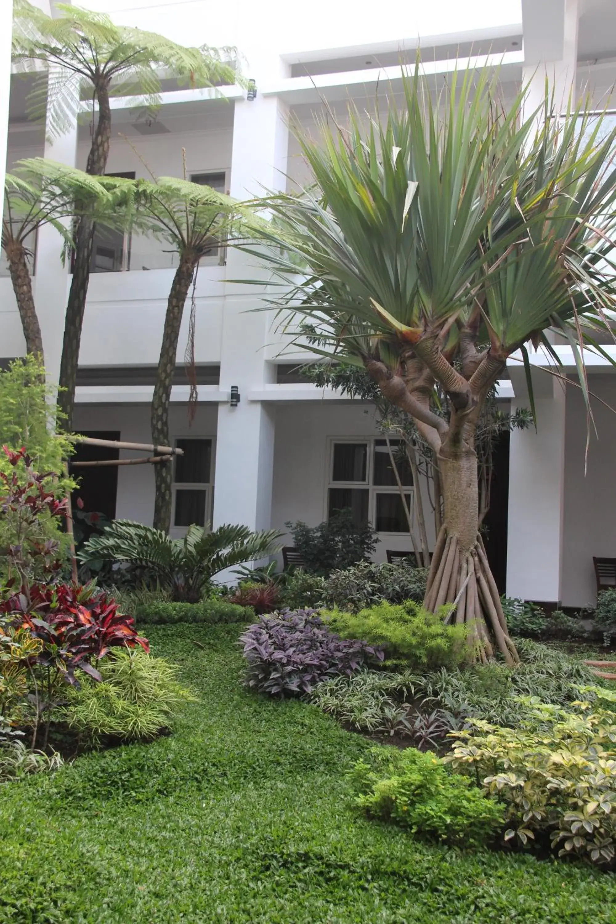 Tlogomas Guest House Tlogomas Guest House