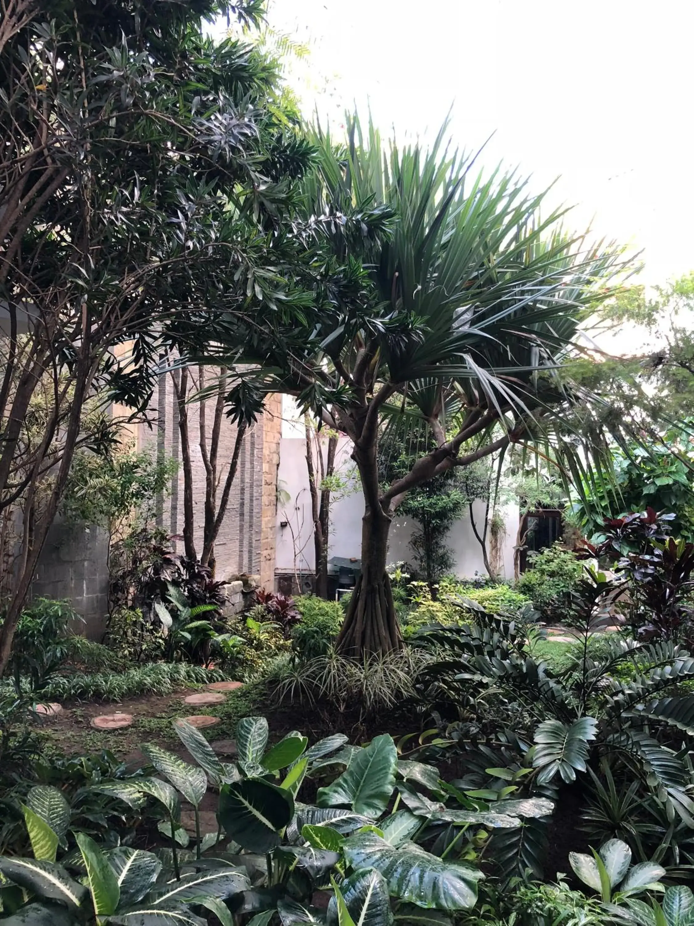 Tlogomas Guest House Tlogomas Guest House