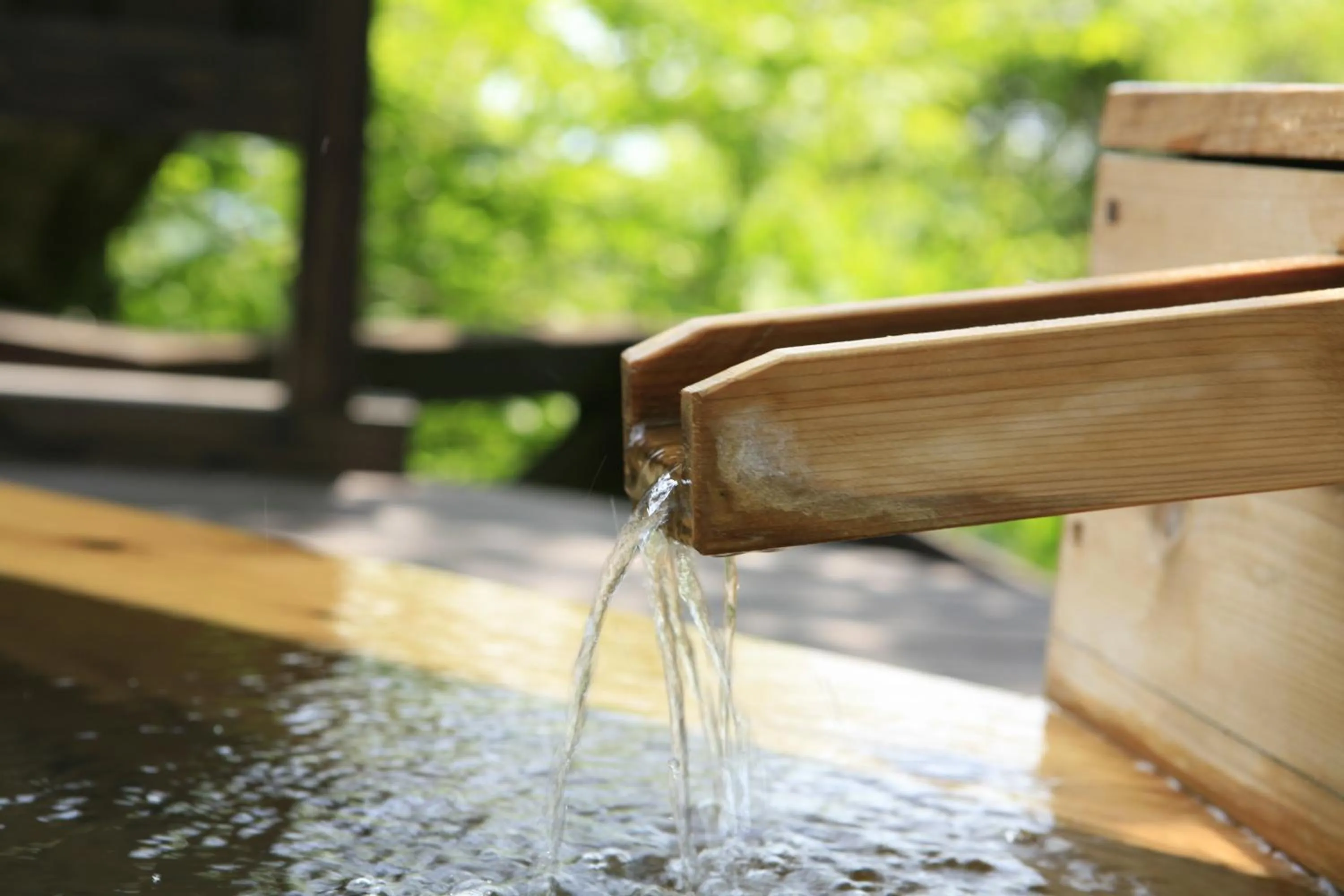 Other in Spagreenness