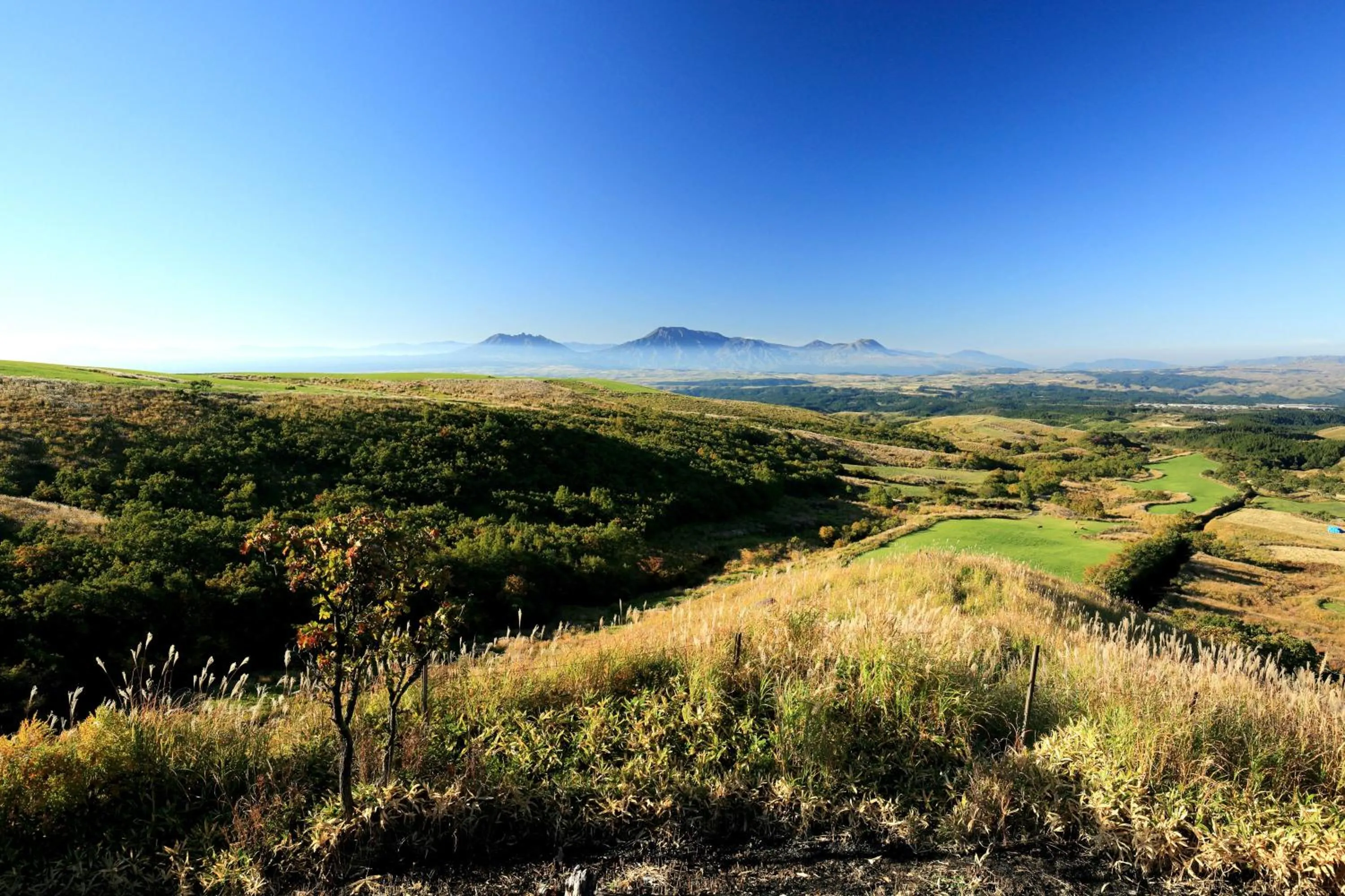 Other in Spagreenness