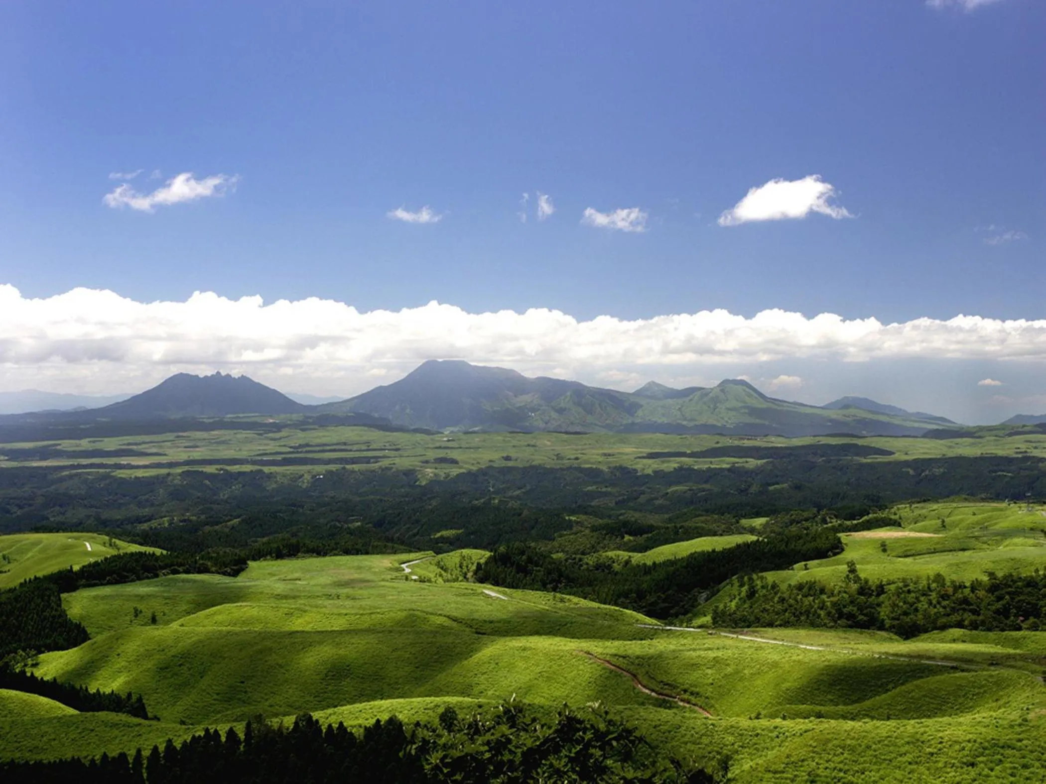 Natural landscape in Spagreenness