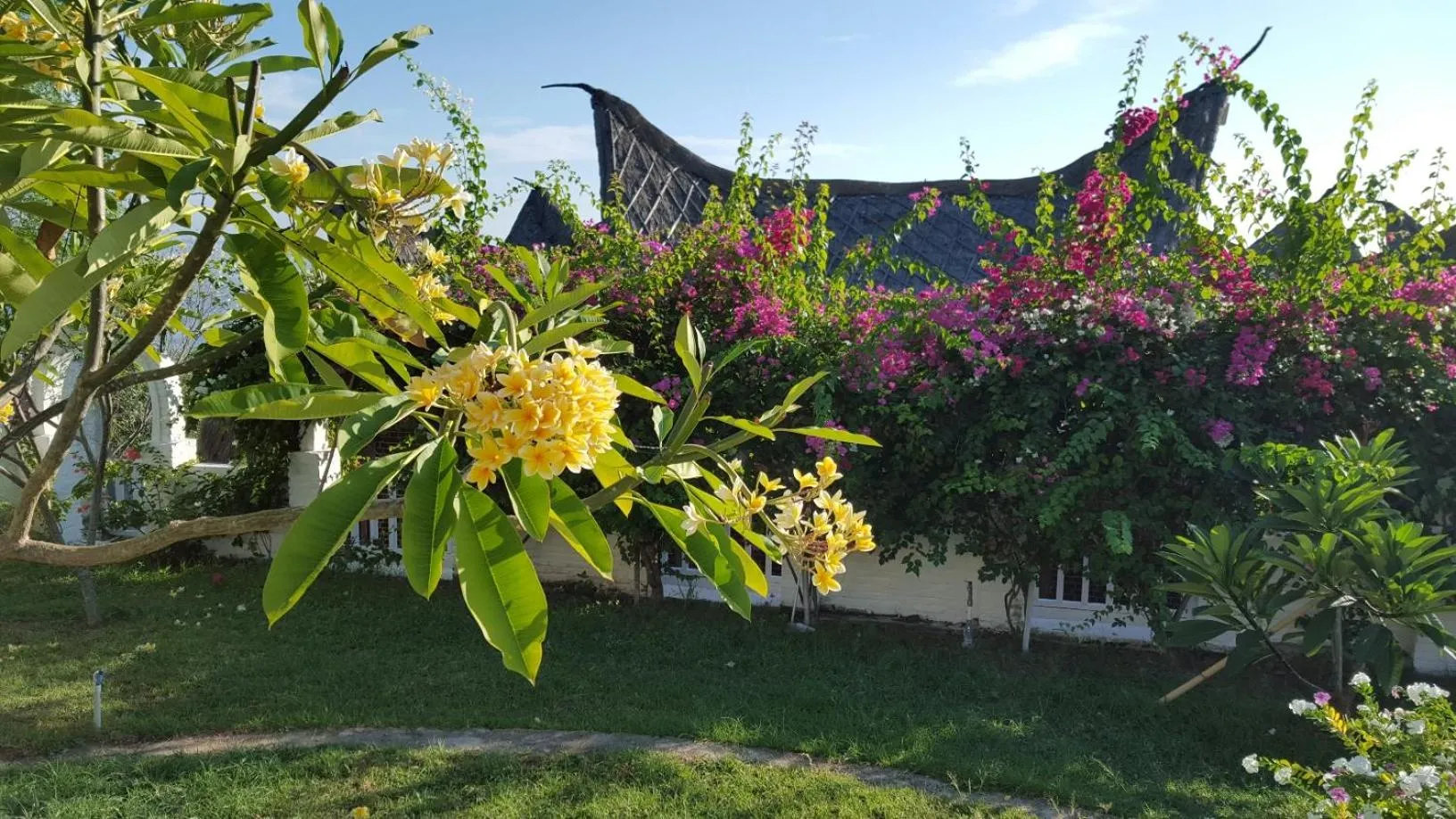 Garden in Princess of Mentigi Bay