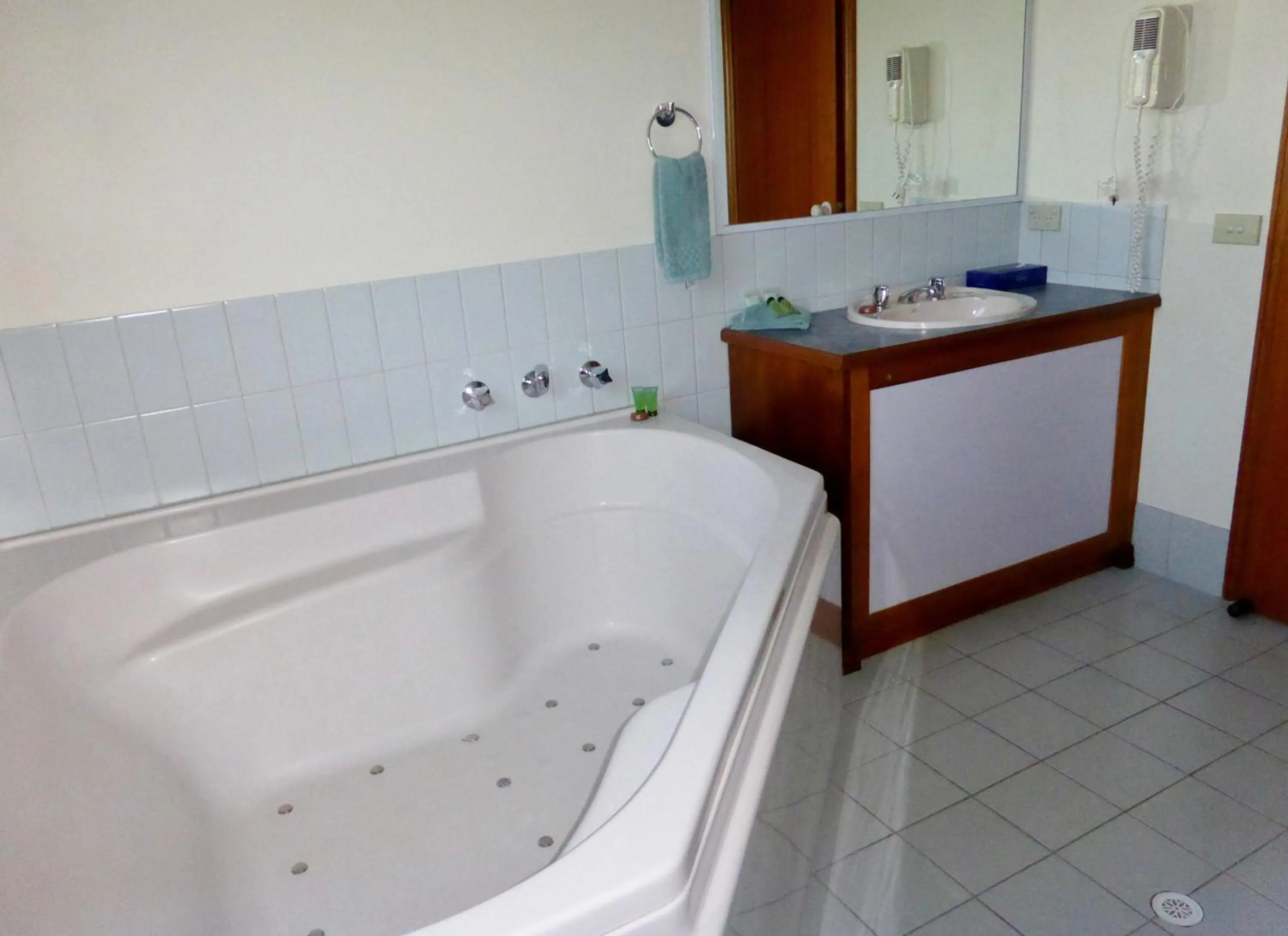 Bathroom in Victoriana Motor Inn