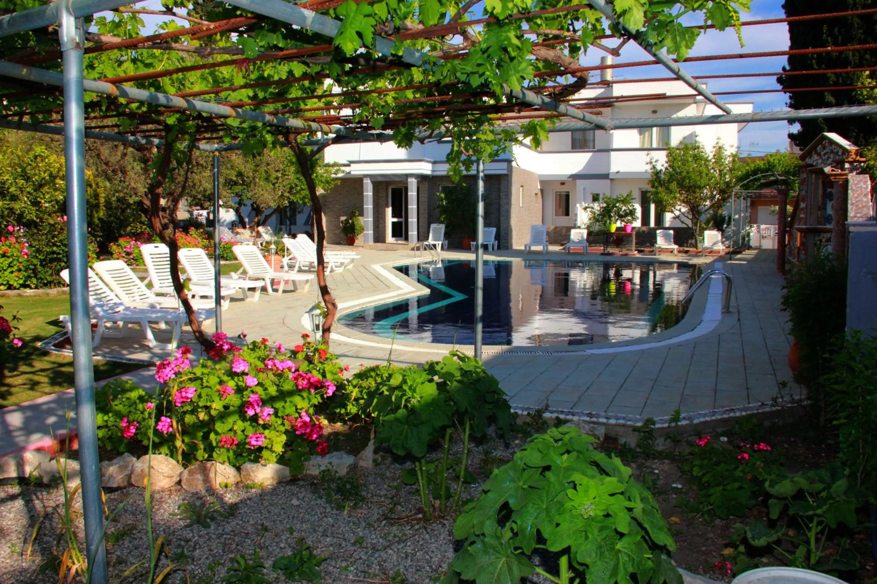 Day in Hotel Dimitra Sun