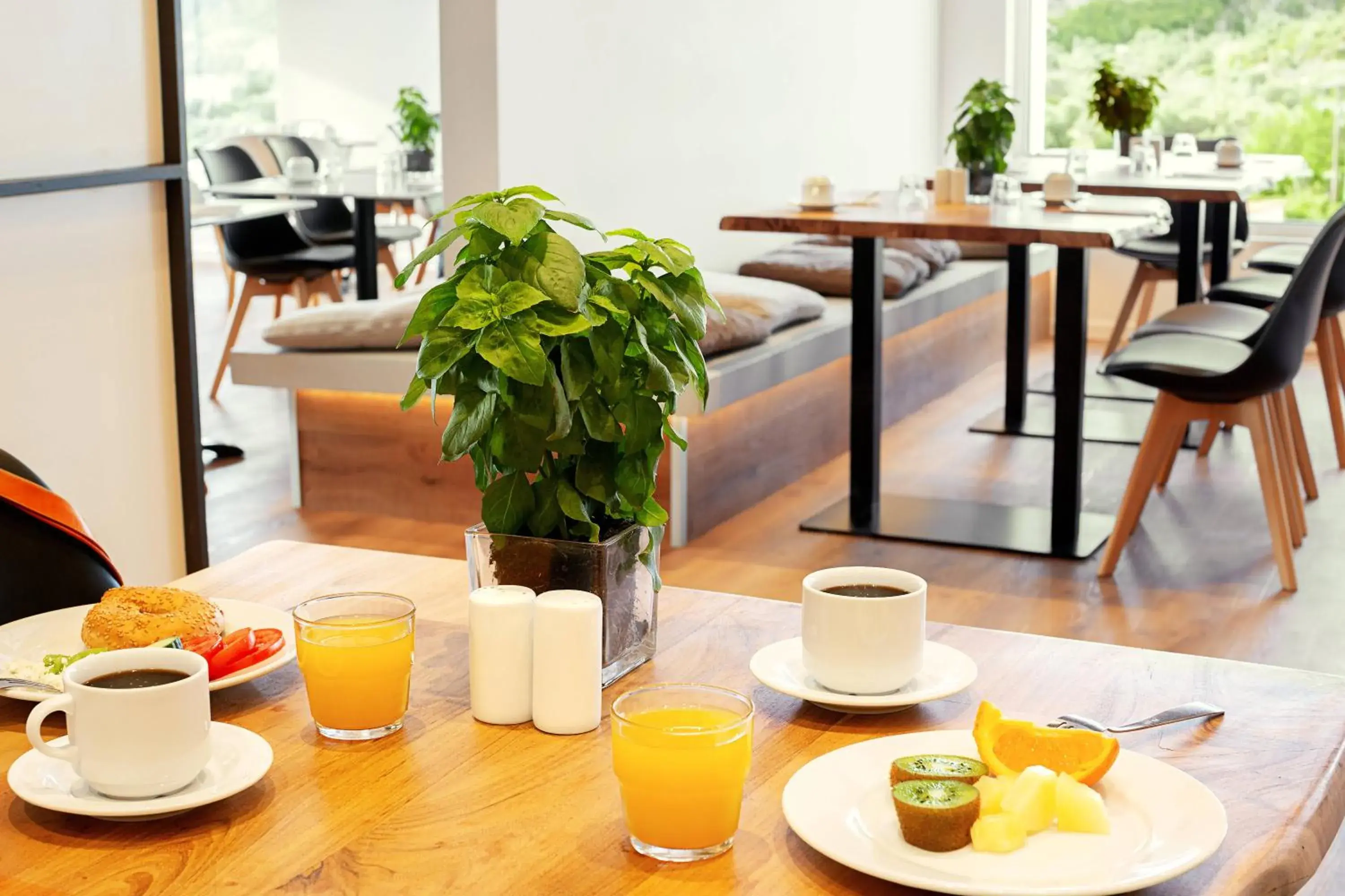 Restaurant/places to eat in Cyprotel Faliraki Restaurant/places to eat in Cyprotel Faliraki