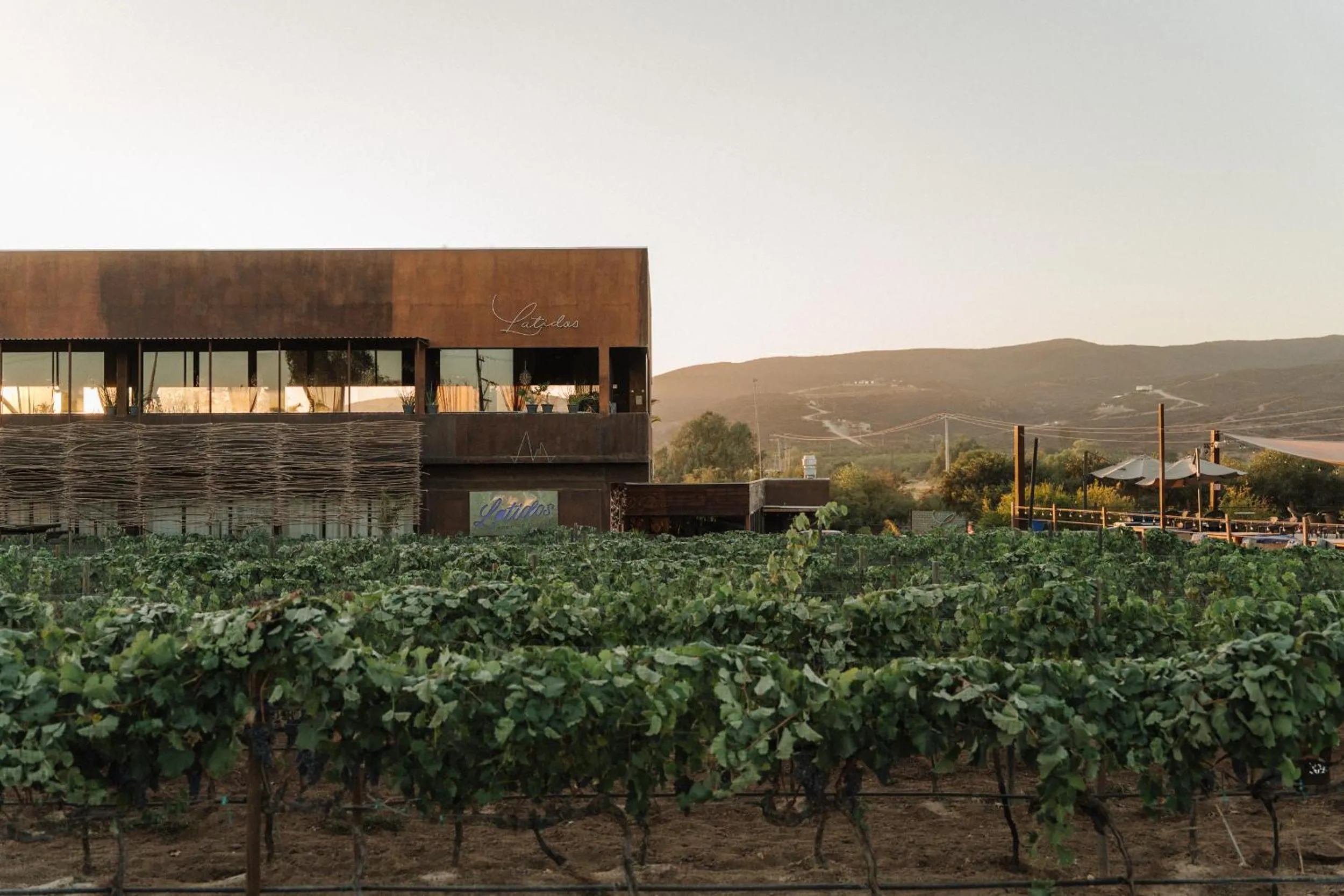 Natural landscape in Casa Frida