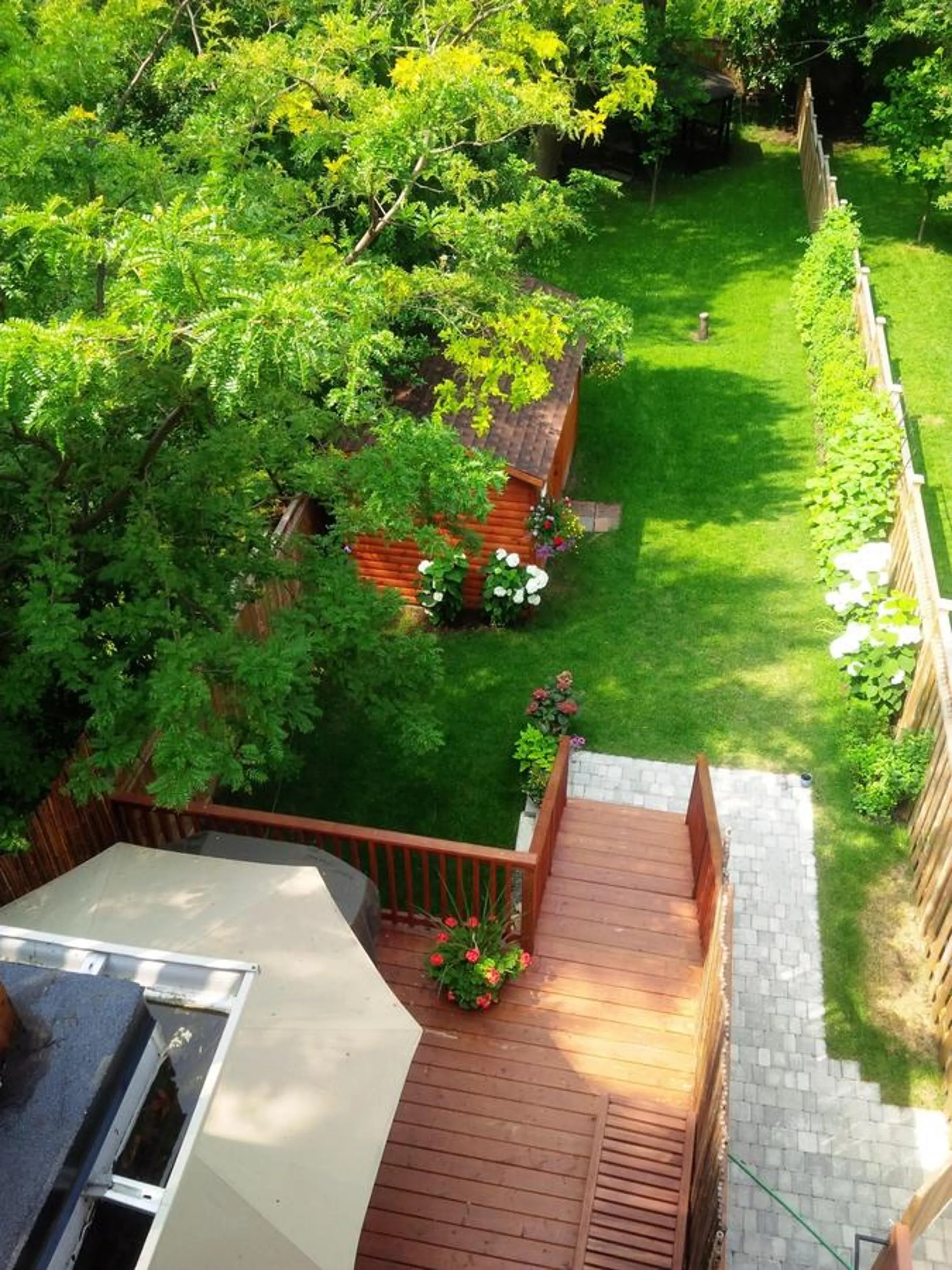 Garden in Luxury Home - Upper Toronto Beaches