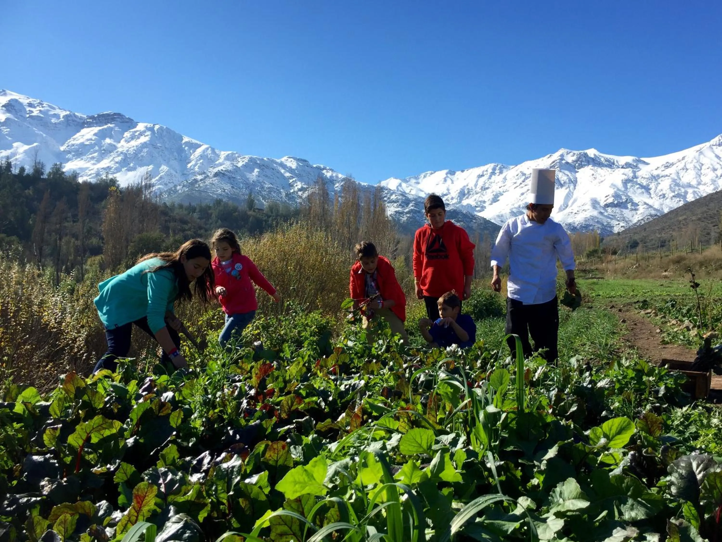 Kids's club in San Francisco Lodge