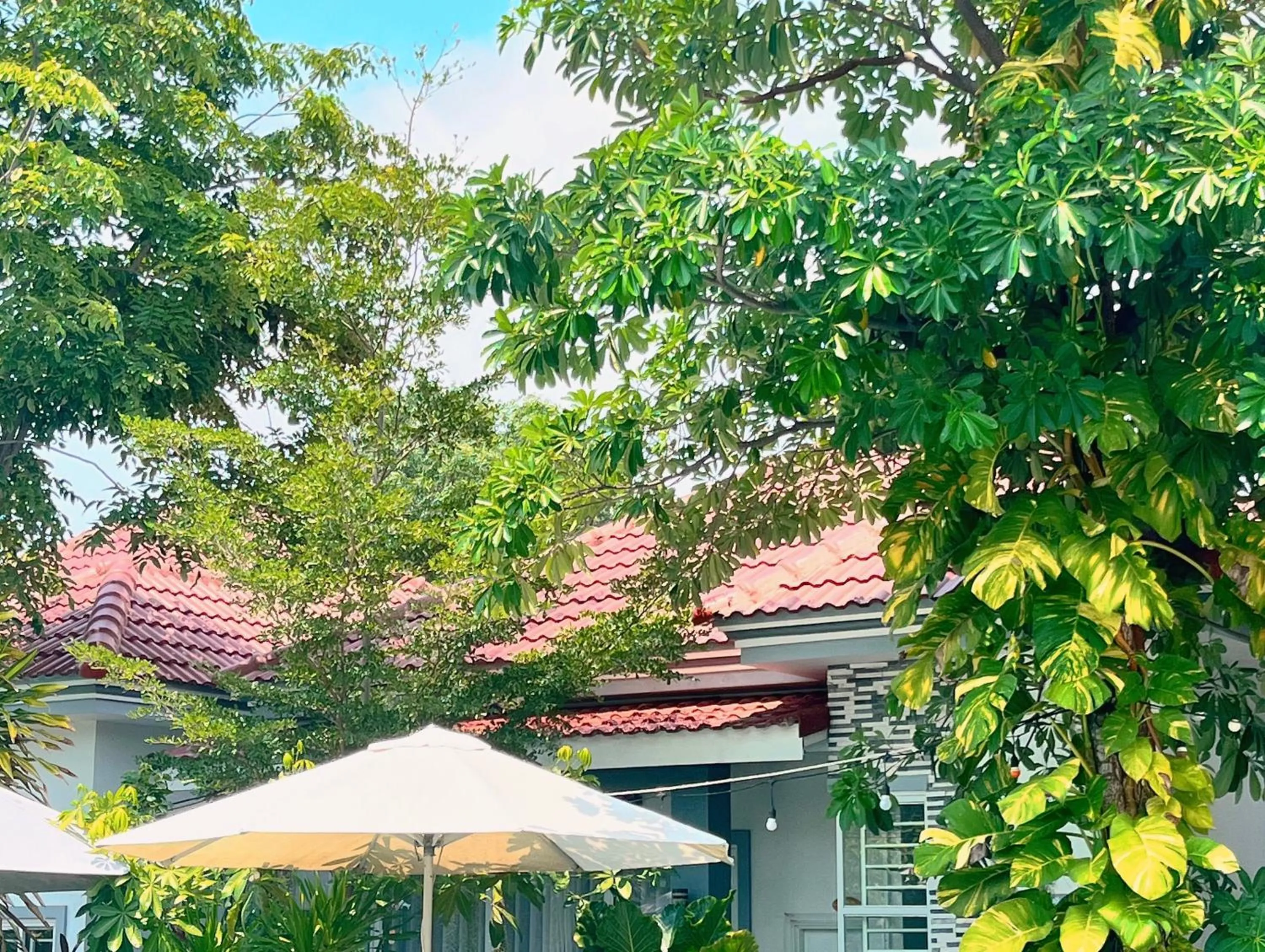 Property building in Kampot Orkide Boutique