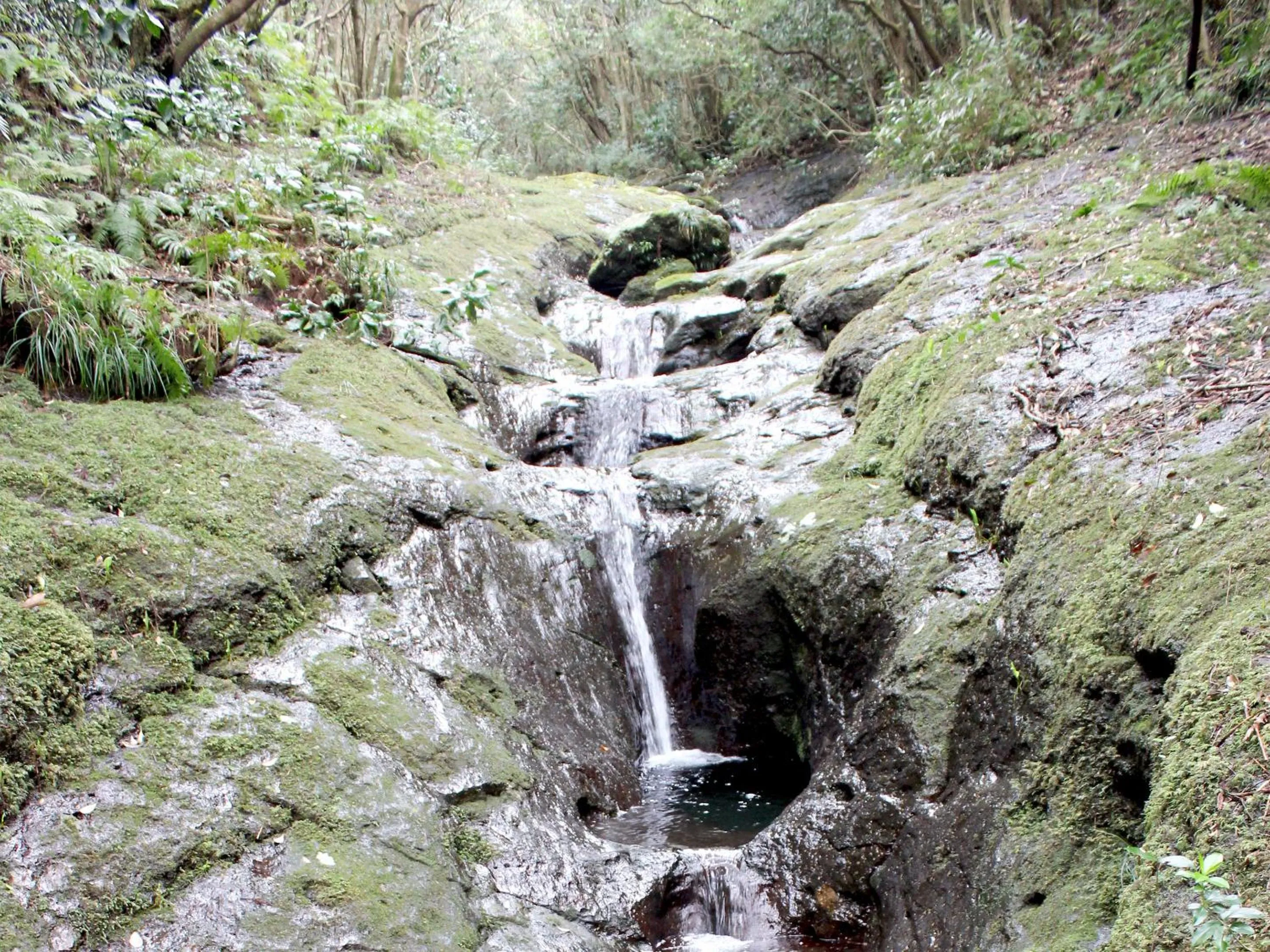 Off site in Mantenbo