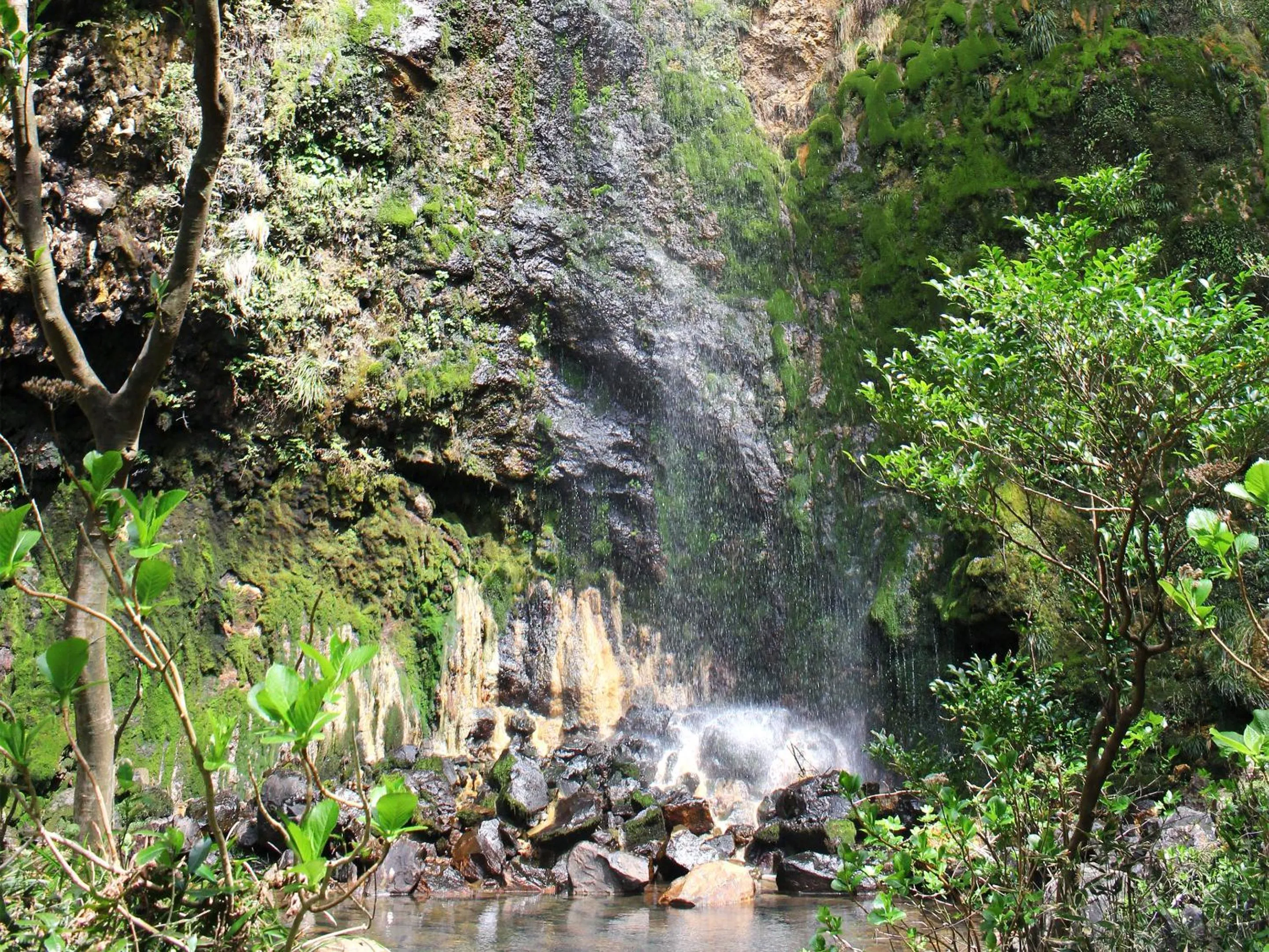 Off site in Mantenbo