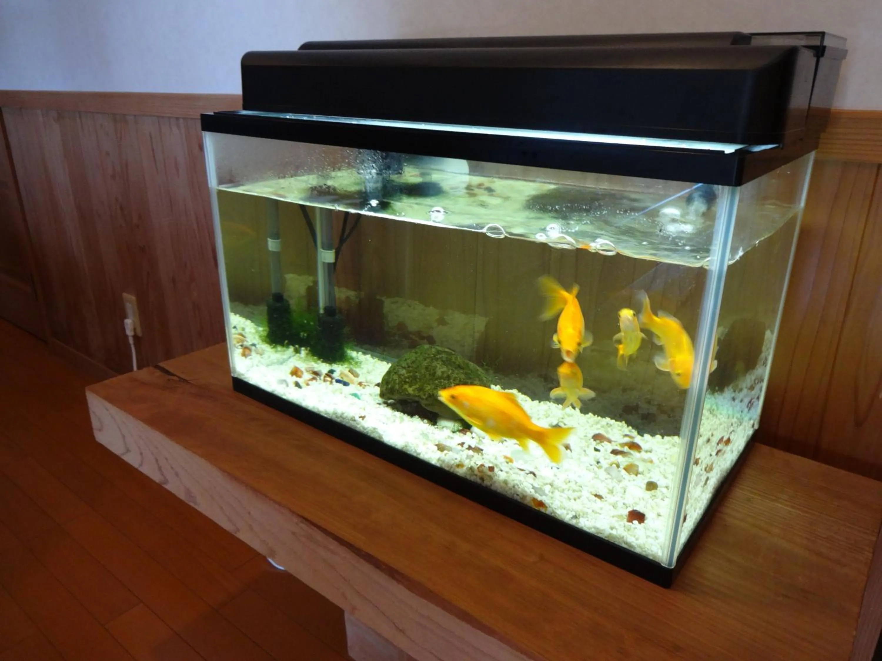 Decorative detail in Mantenbo