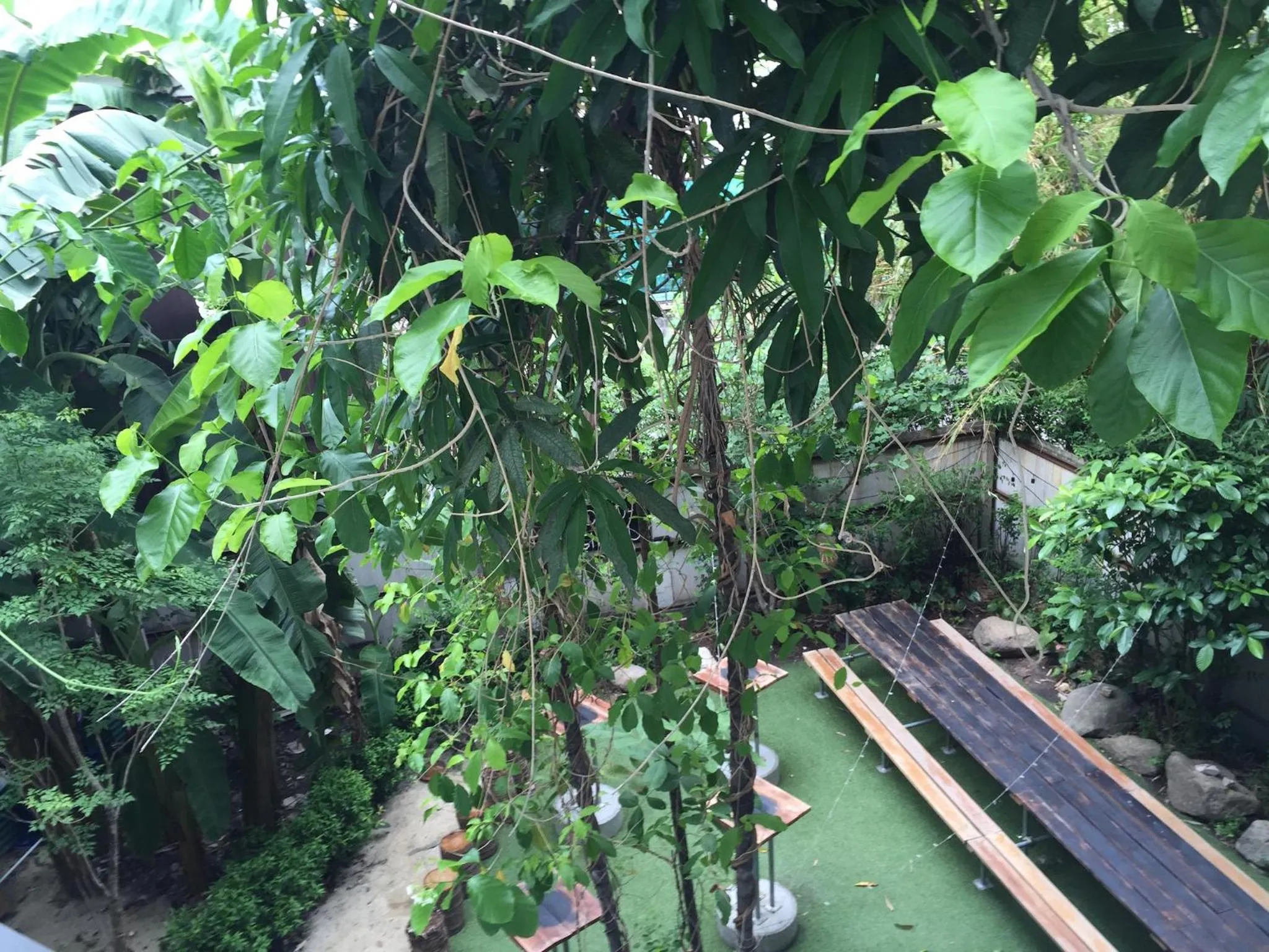 Garden in The Cube Hostel Silom