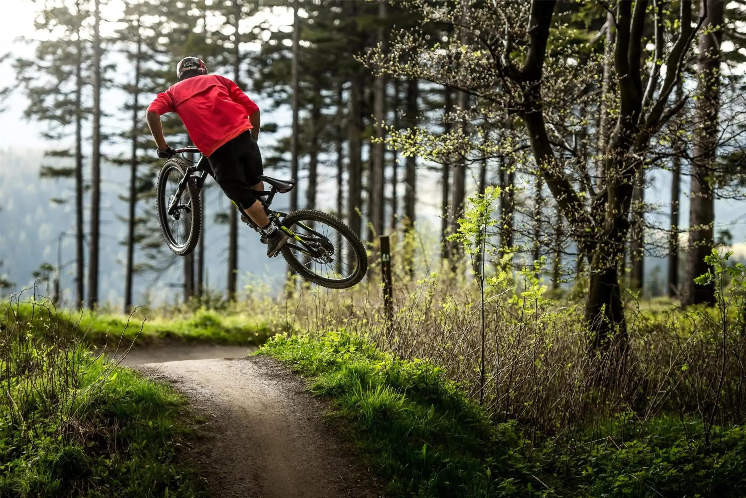 Nearby landmark in Mountain View Hotel Willingen, BW Signature Collection Nearby landmark in Mountain View Hotel Willingen, BW Signature Collection