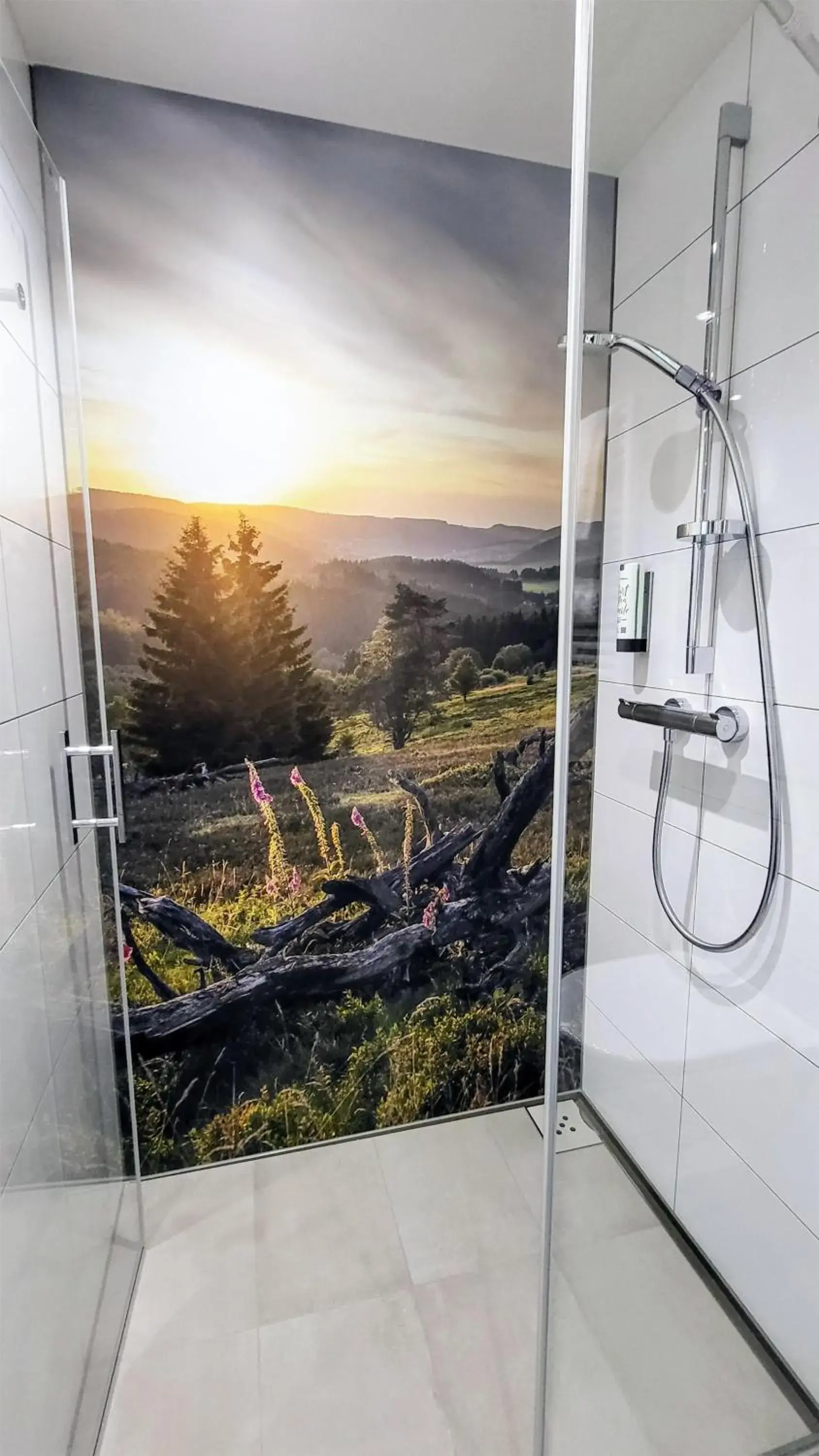 Family Room with One Double and One Single Bed and Walk-In Shower in Mountain View Hotel Willingen, BW Signature Collection Family Room with One Double and One Single Bed and Walk-In Shower in Mountain View Hotel Willingen, BW Signature Collection