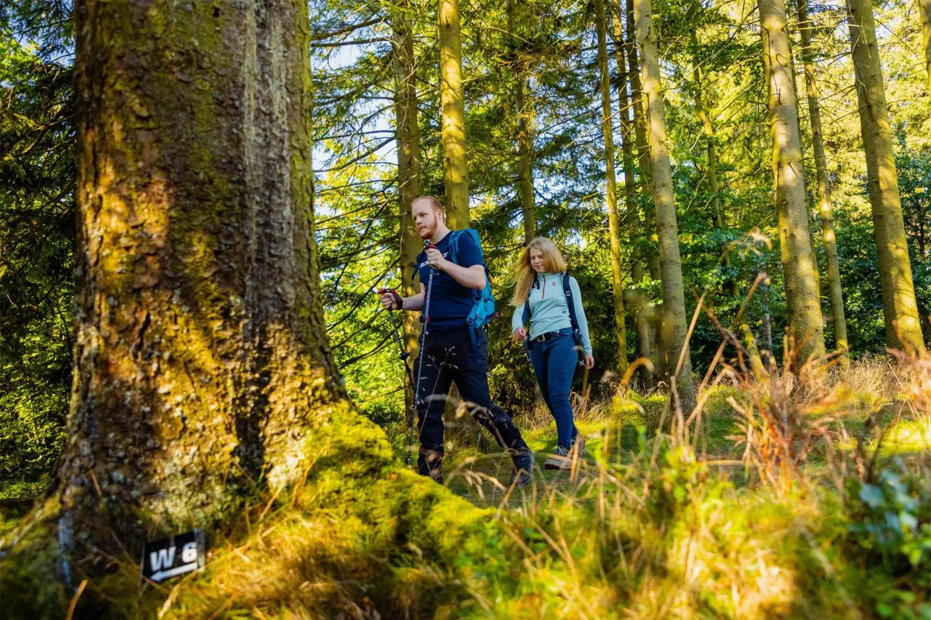 Nearby landmark in Mountain View Hotel Willingen, BW Signature Collection Nearby landmark in Mountain View Hotel Willingen, BW Signature Collection