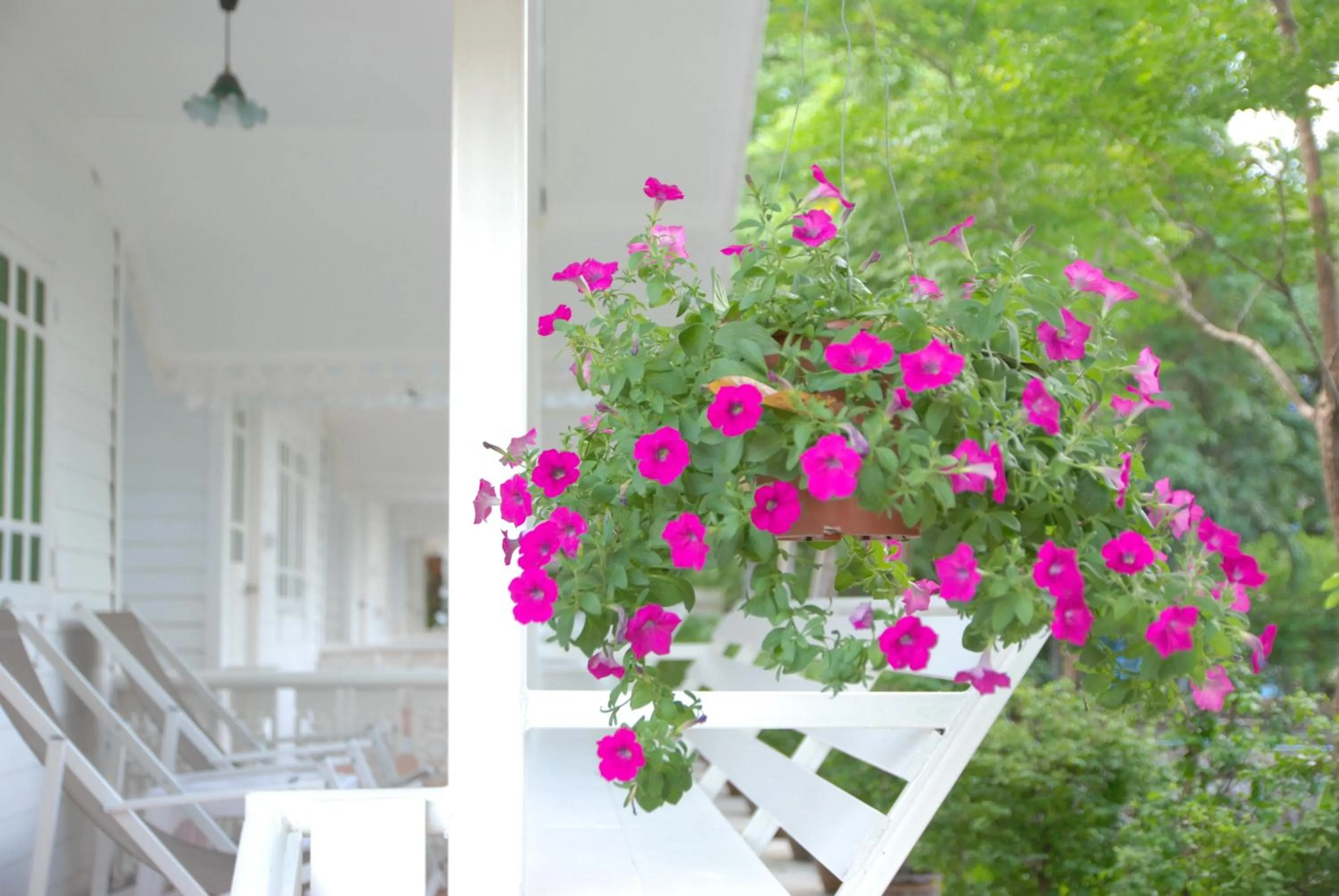Decorative detail in Baan Luang Harn