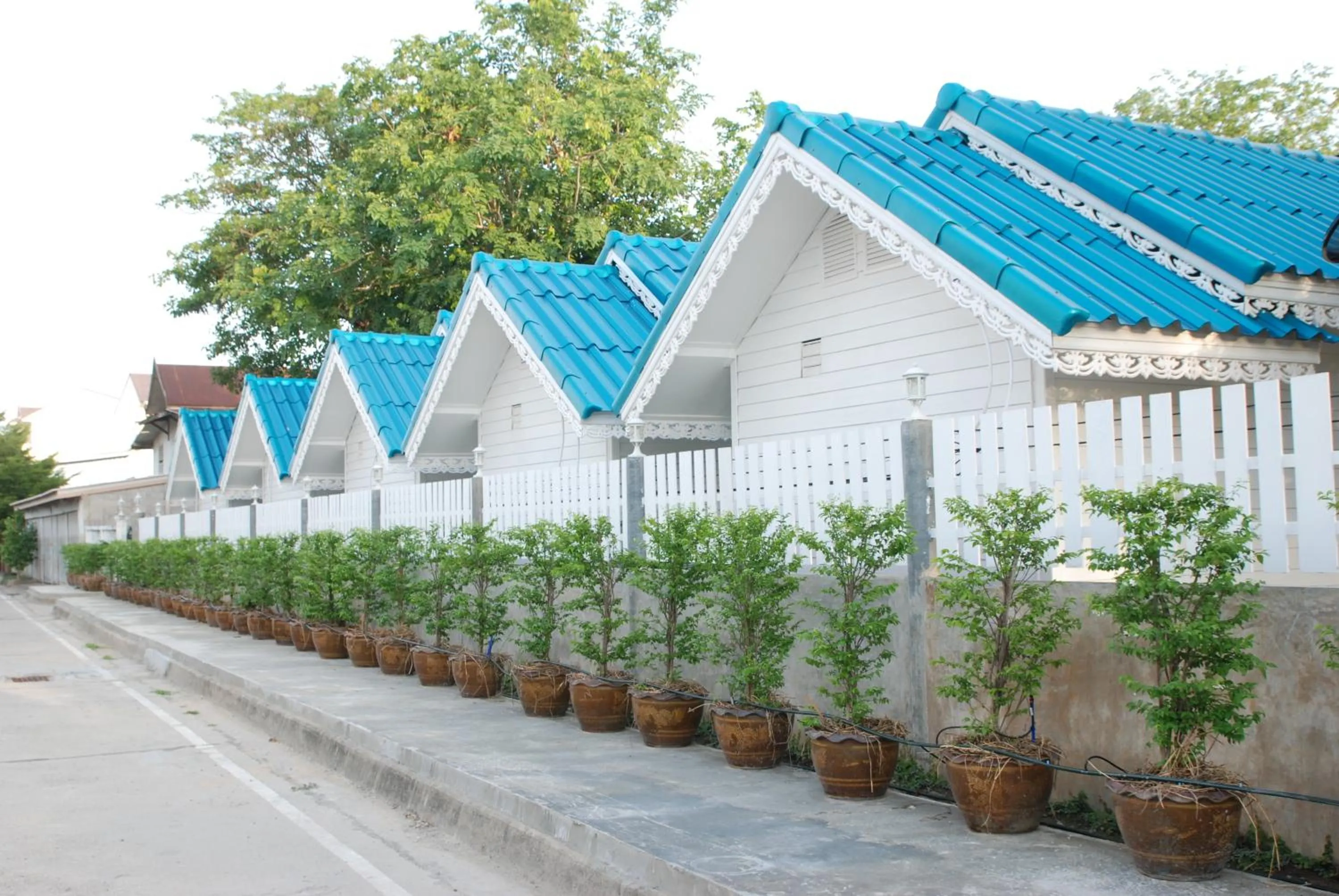 Other in Baan Luang Harn