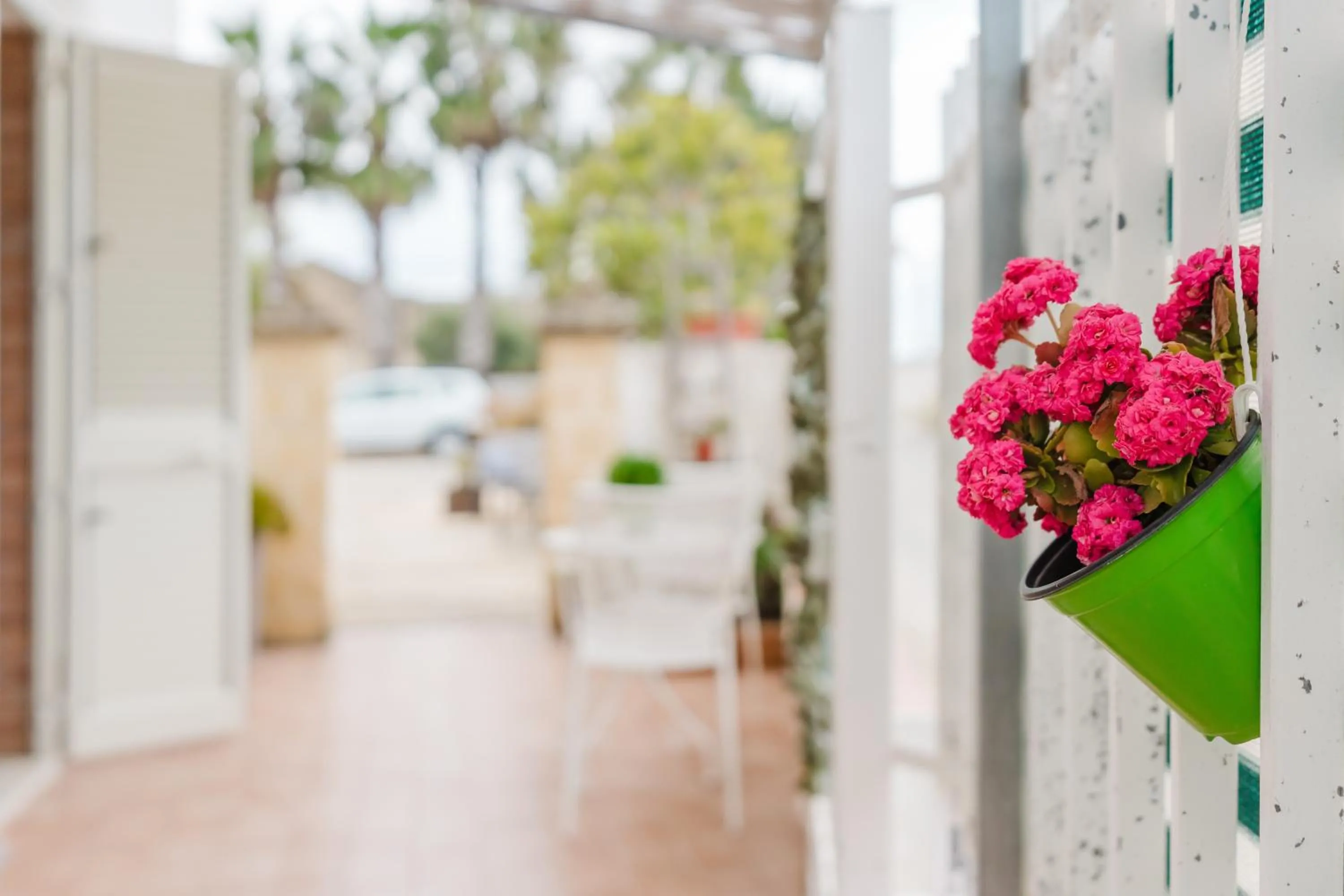 Apartment with Terrace in Casa Petros