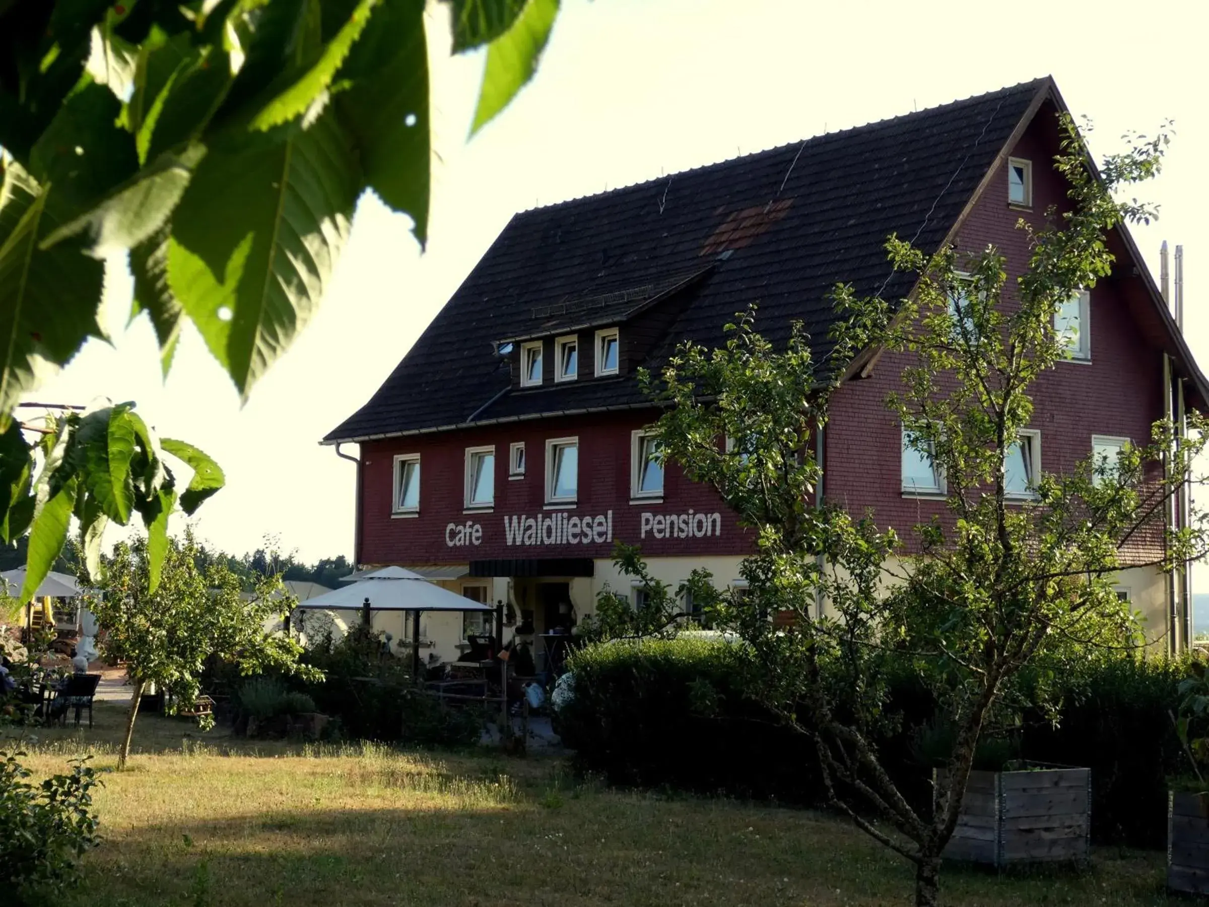 Pension Waldliesel Pension Waldliesel