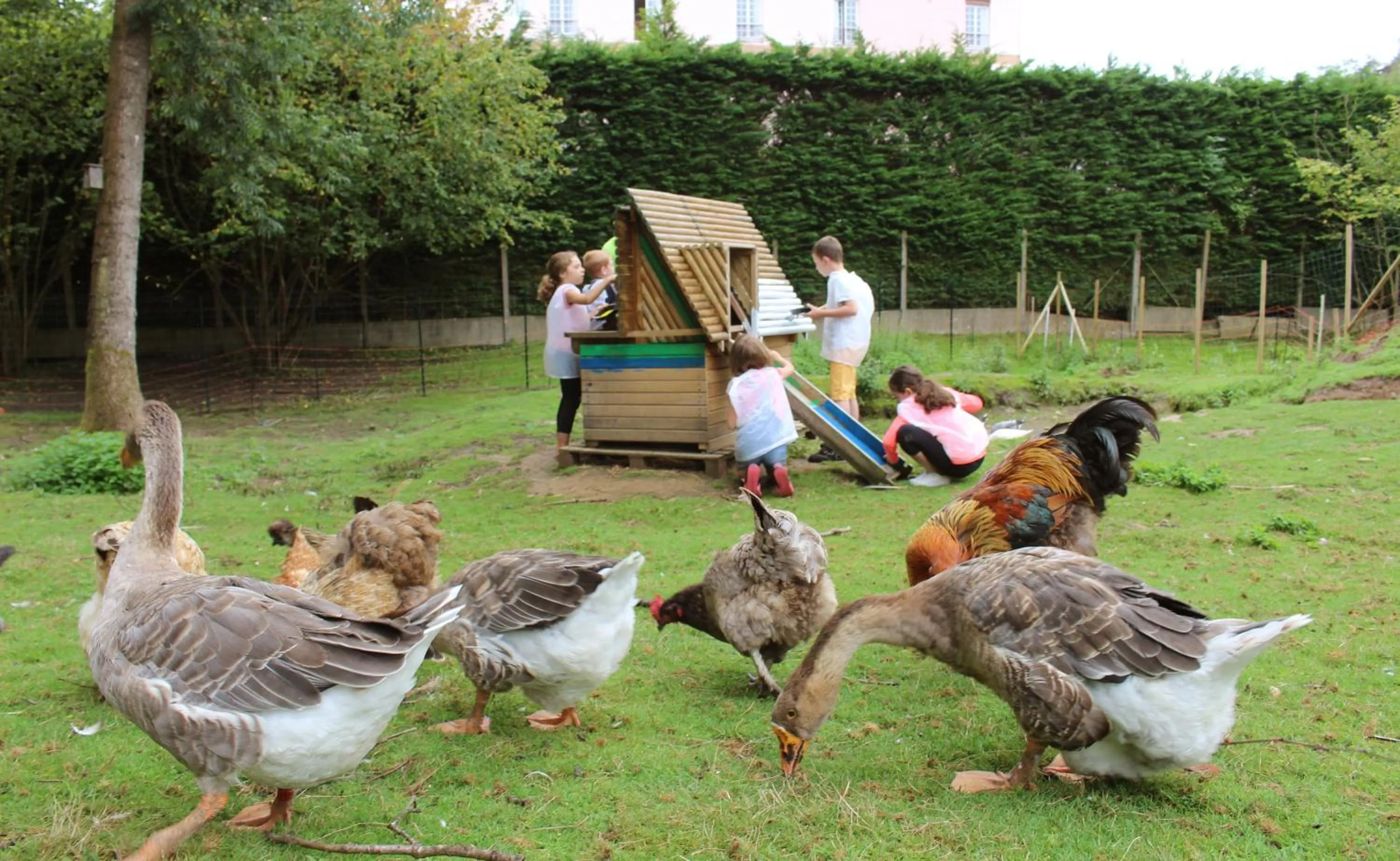 Pets in VVF Normandie Forges-les-Eaux